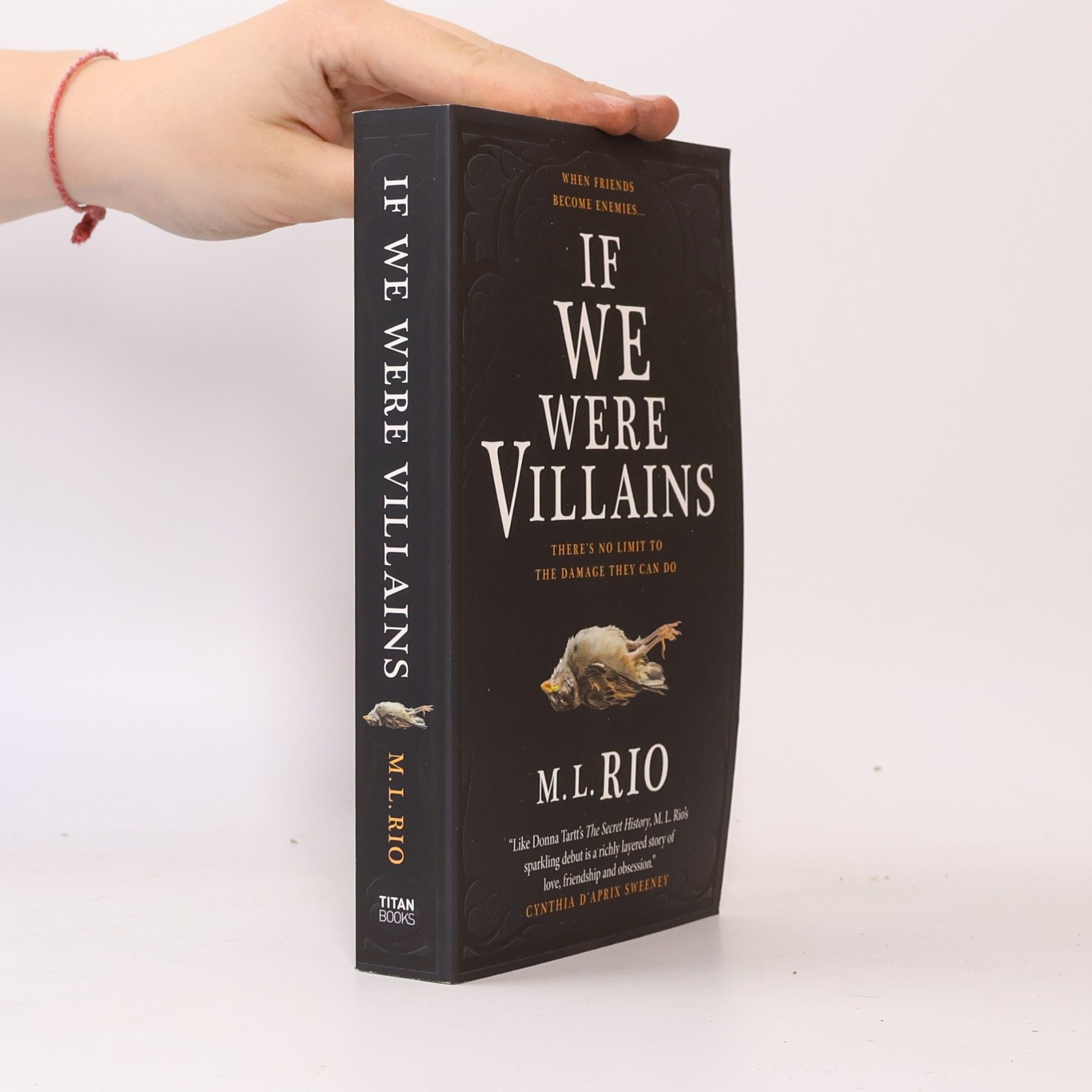 M. L. Rio If We Were Villains