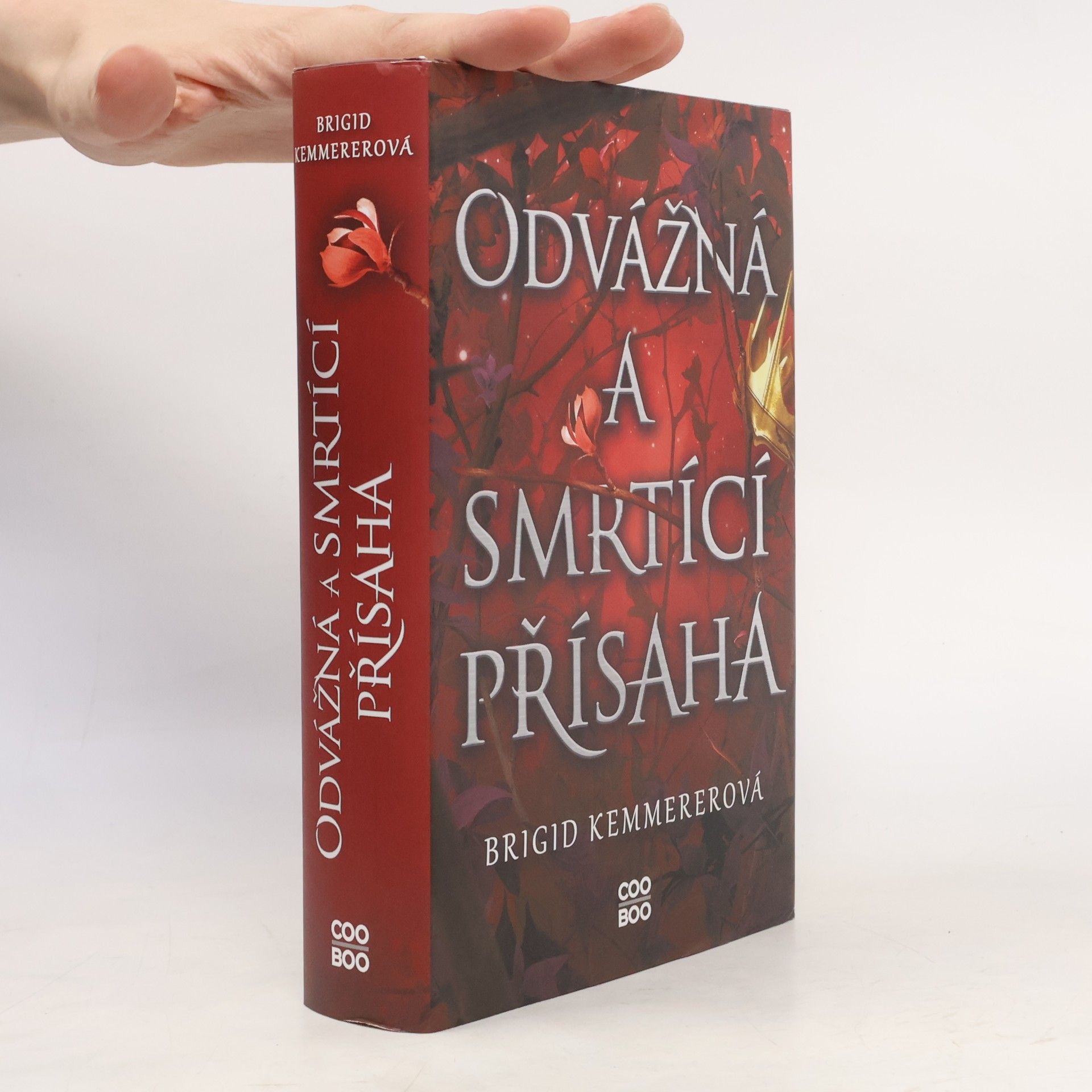 Brigid Kemmerer Odvážná a smrtící přísaha