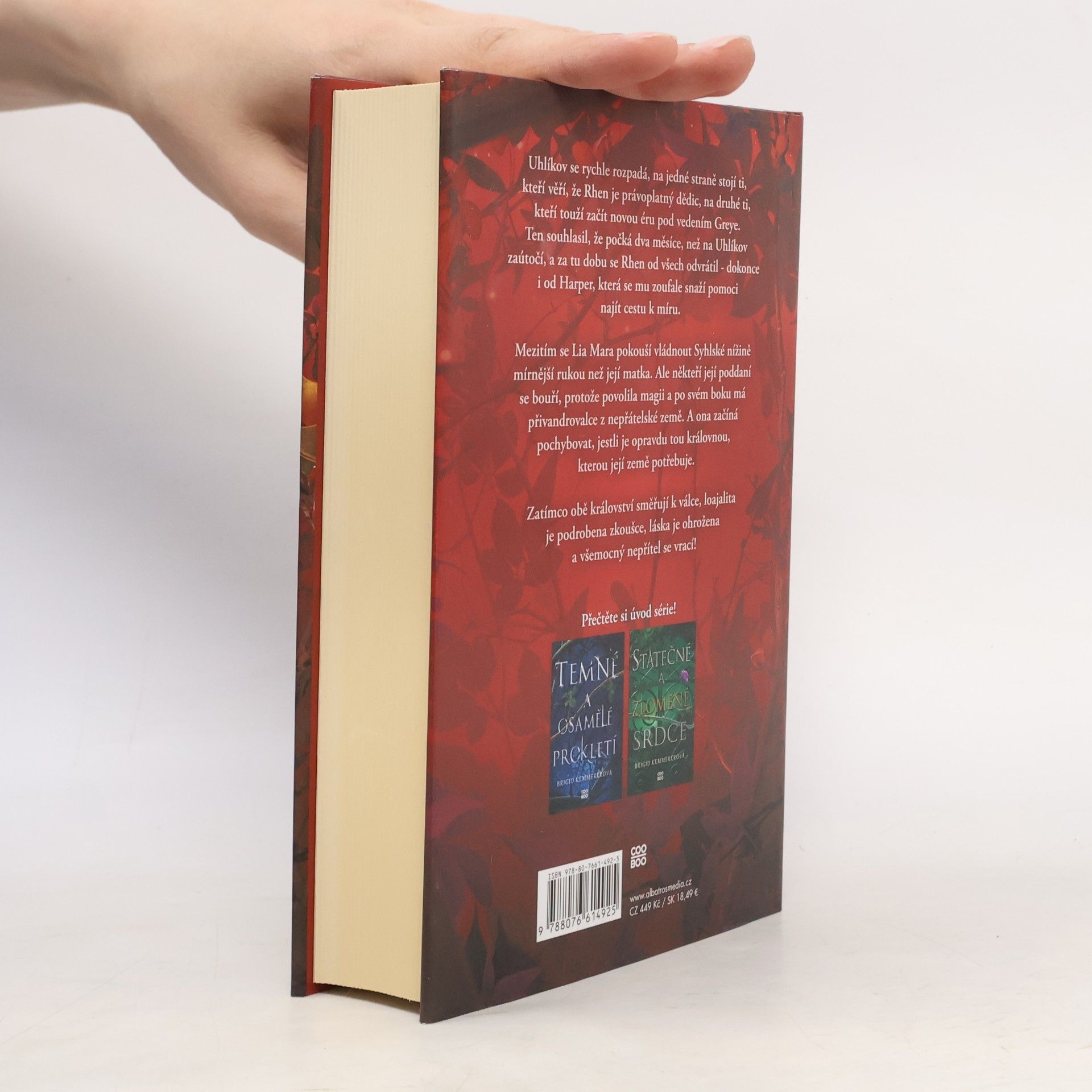Brigid Kemmerer Odvážná a smrtící přísaha
