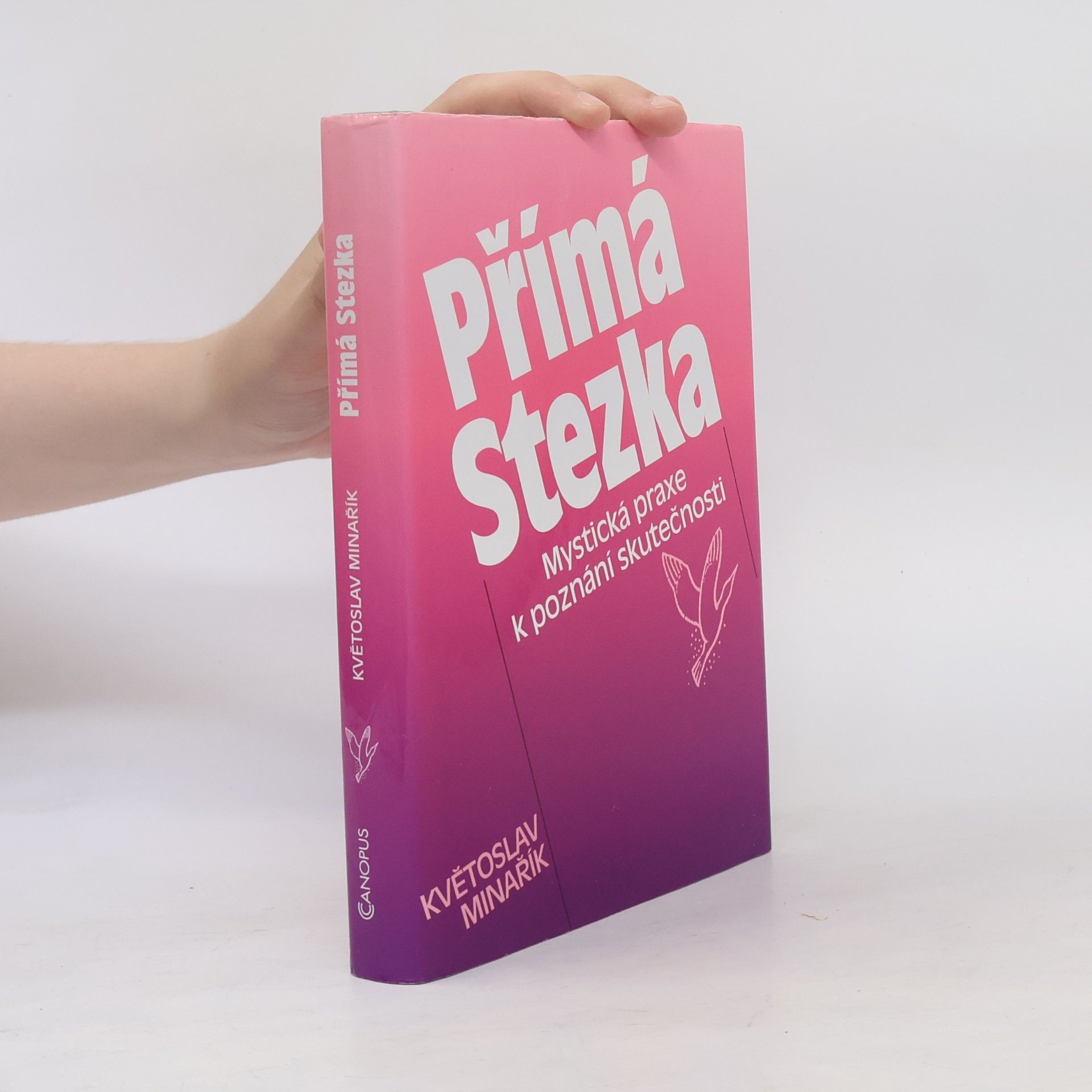 Kvetoslav Minarik Přímá stezka