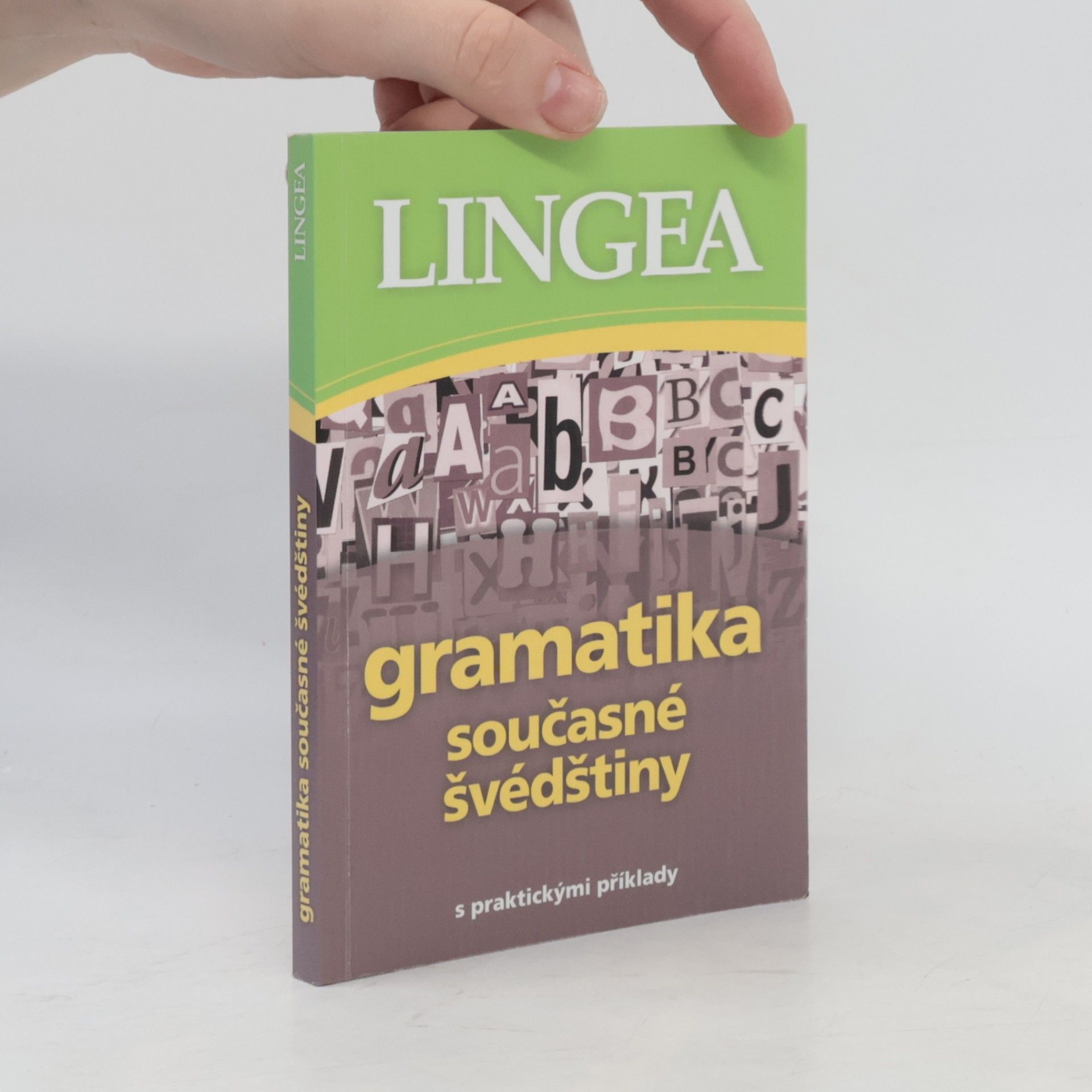Autorenkollektiv Gramatika současné švédštiny