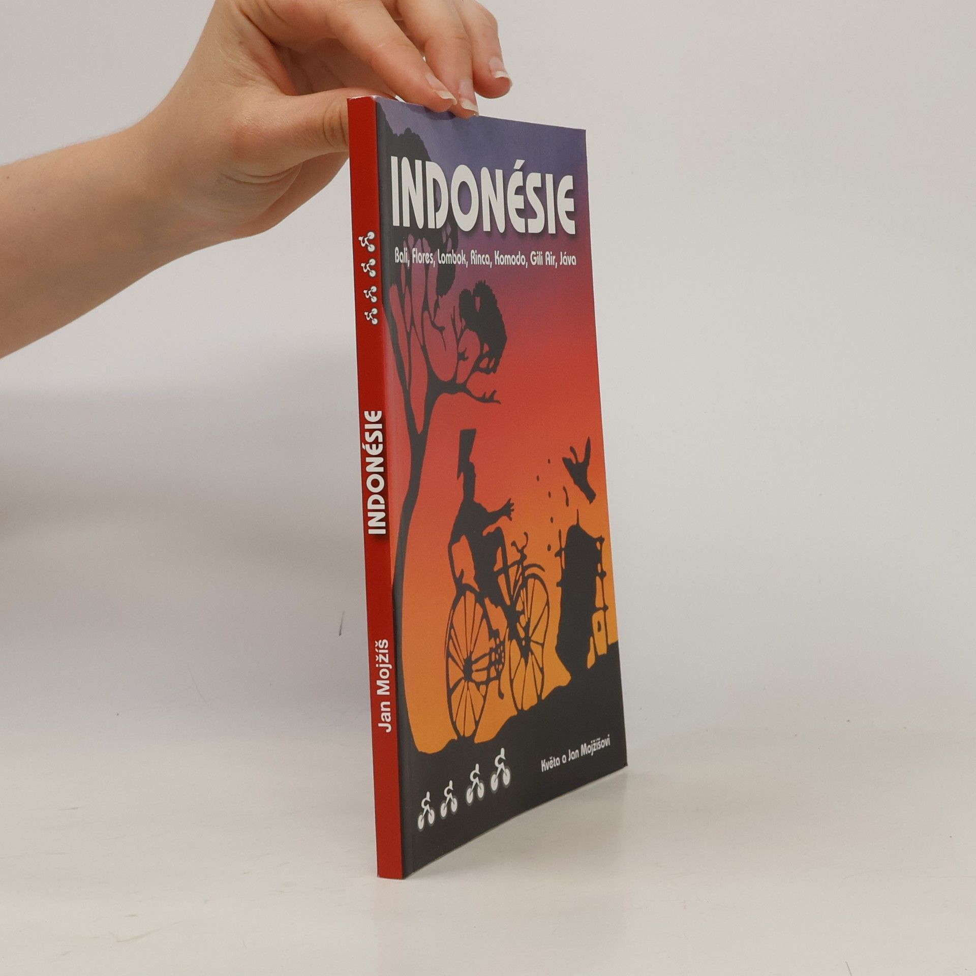 Indonésie: Bali, Flores, Lombok, Rinca, Komodo, Gili Air, Jáva