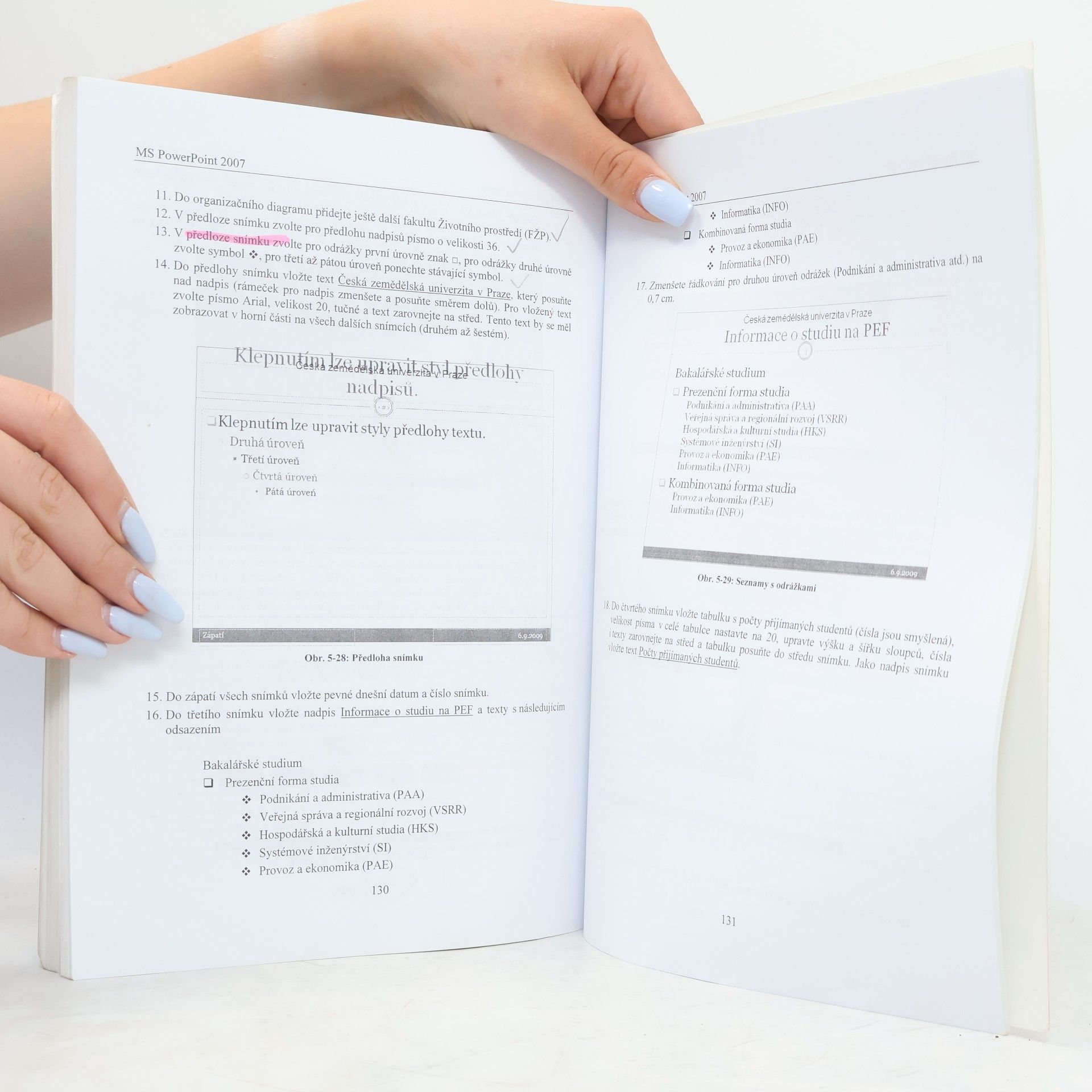 Autorenkollektiv Informatika I - cvičení : MS Office 2007