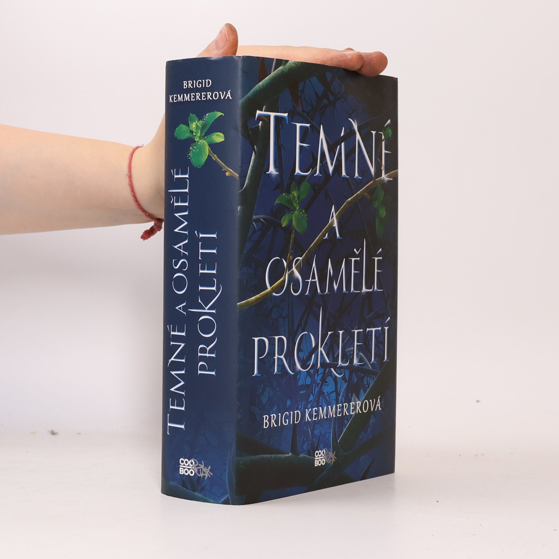 Brigid Kemmerer Temné a osamělé prokletí