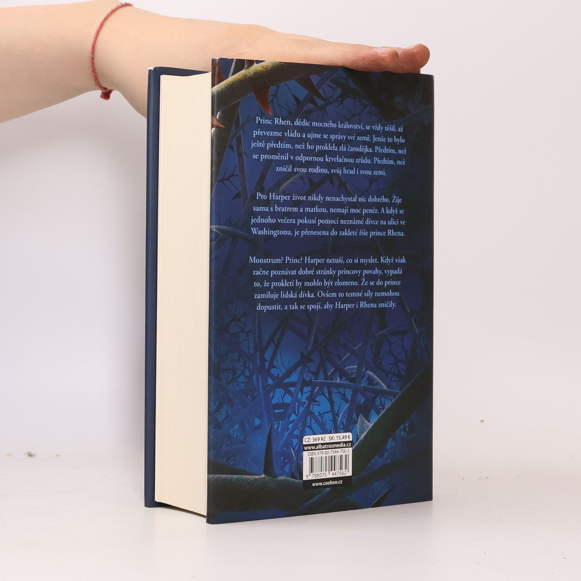 Brigid Kemmerer Temné a osamělé prokletí