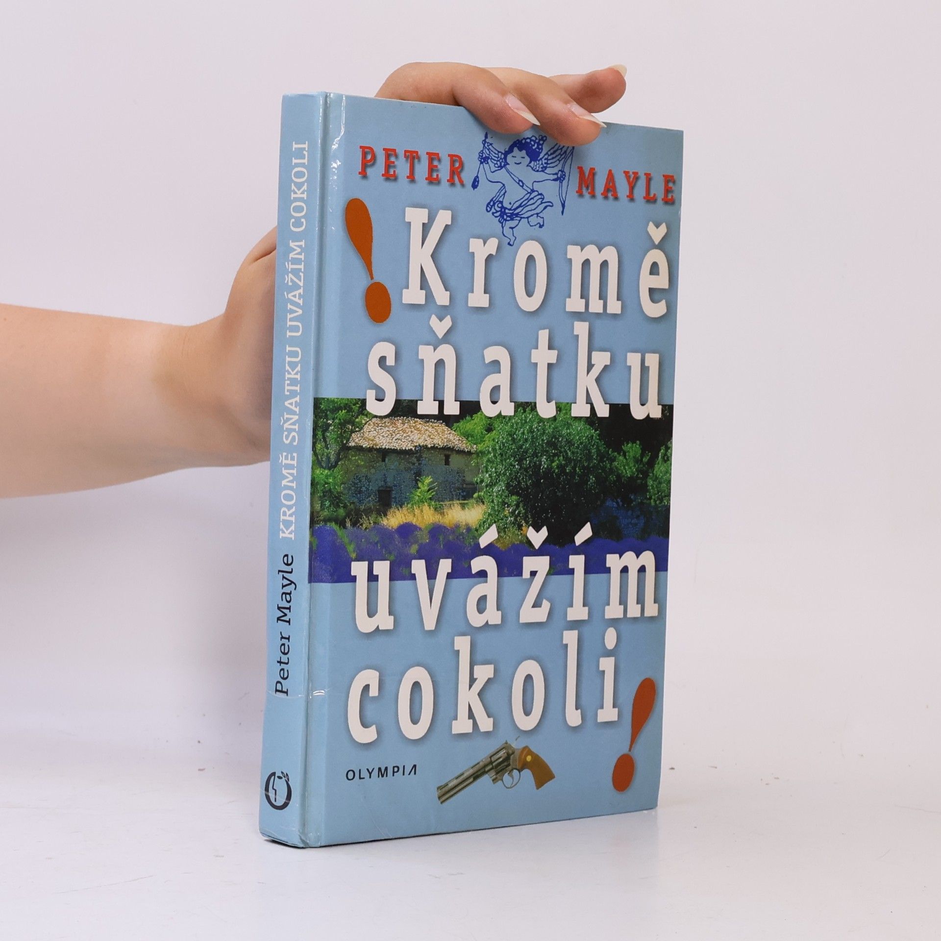 Peter Mayle Kromě sňatku uvážím cokoli!