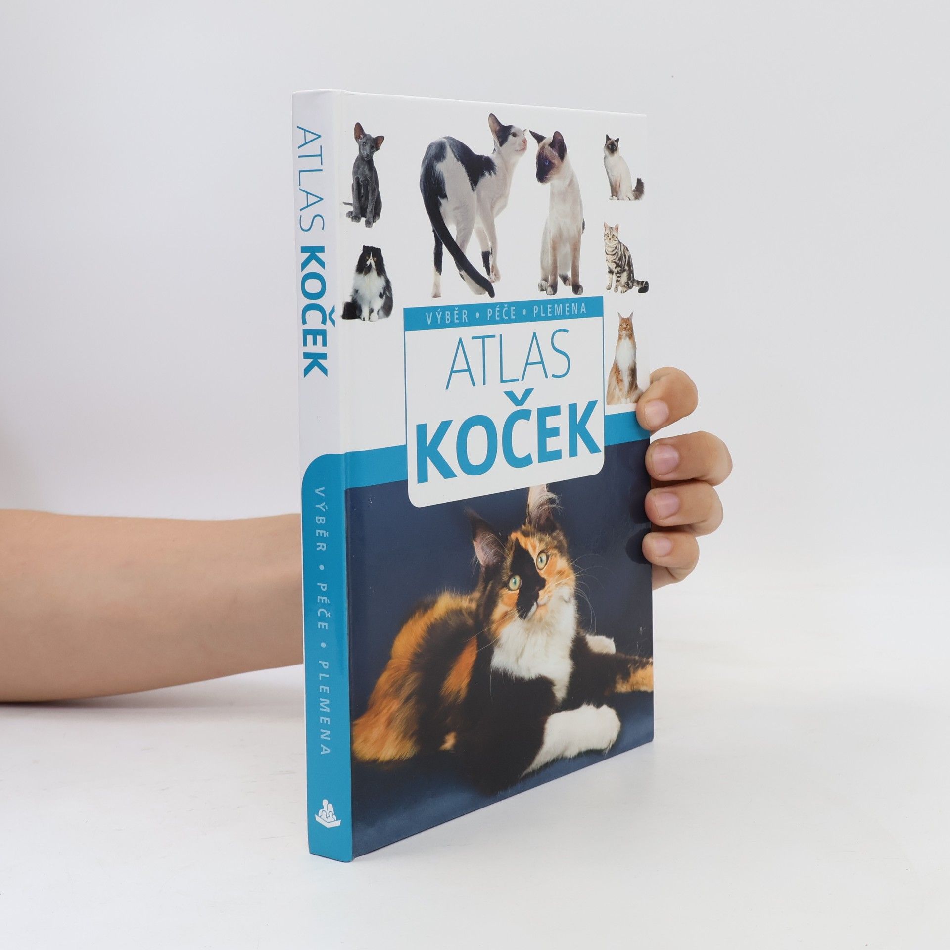 Autorenkollektiv Atlas koček : výběr, péče, plemena