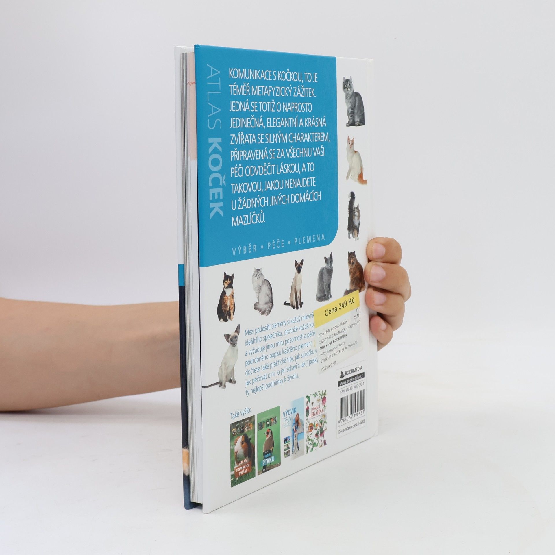 Autorenkollektiv Atlas koček : výběr, péče, plemena