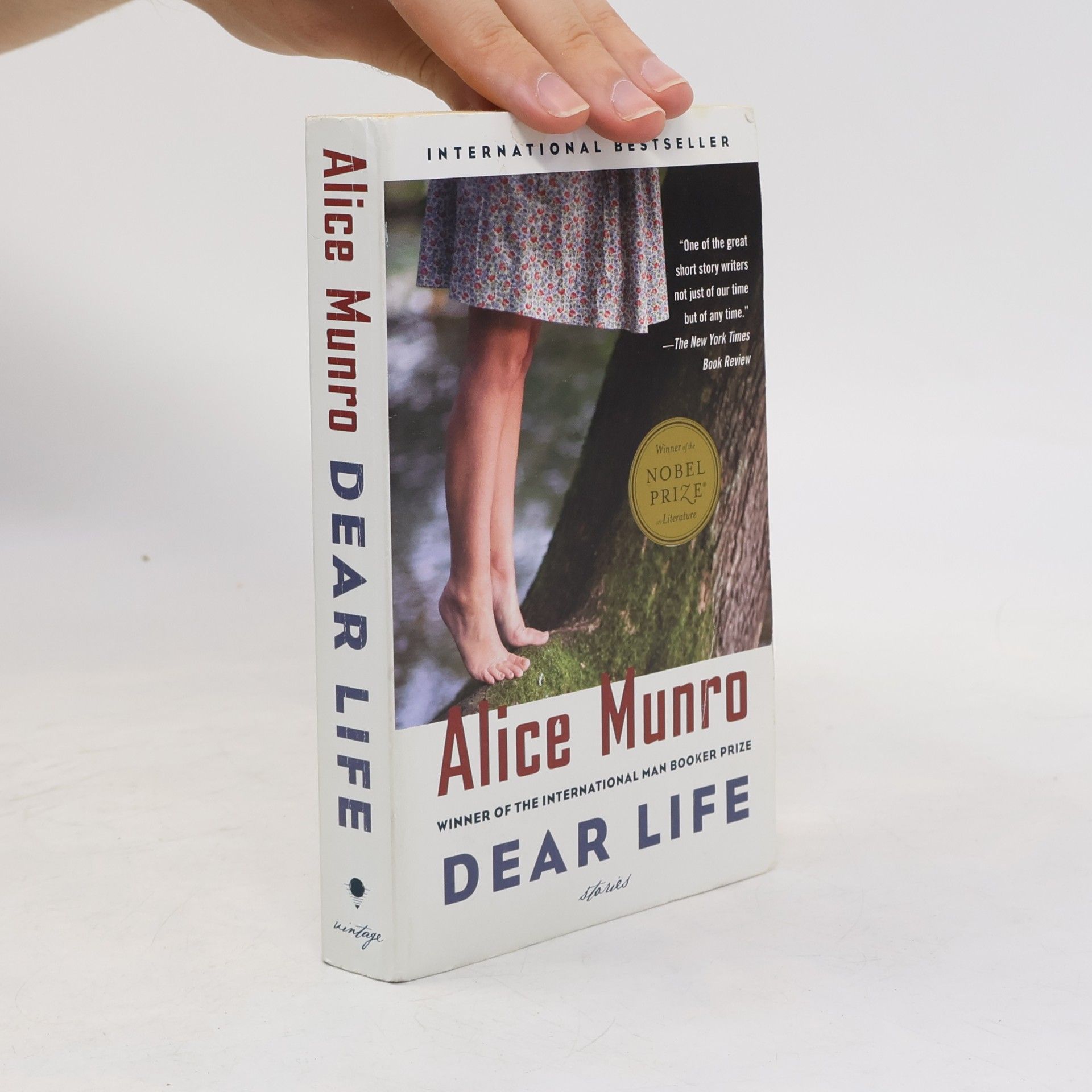 Alice Munro Dear Life