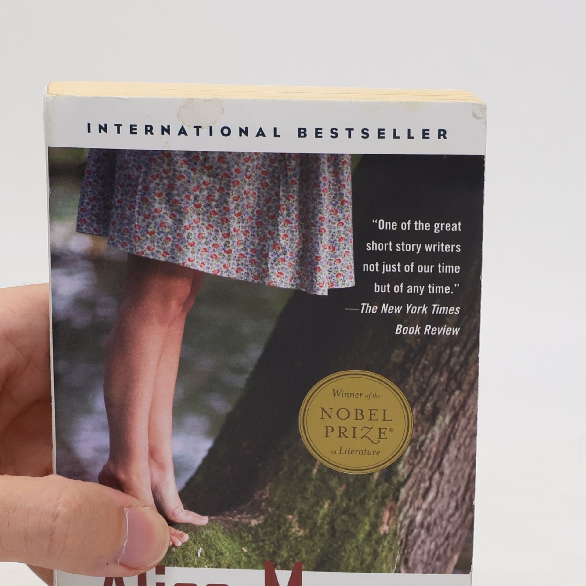 Alice Munro Dear Life