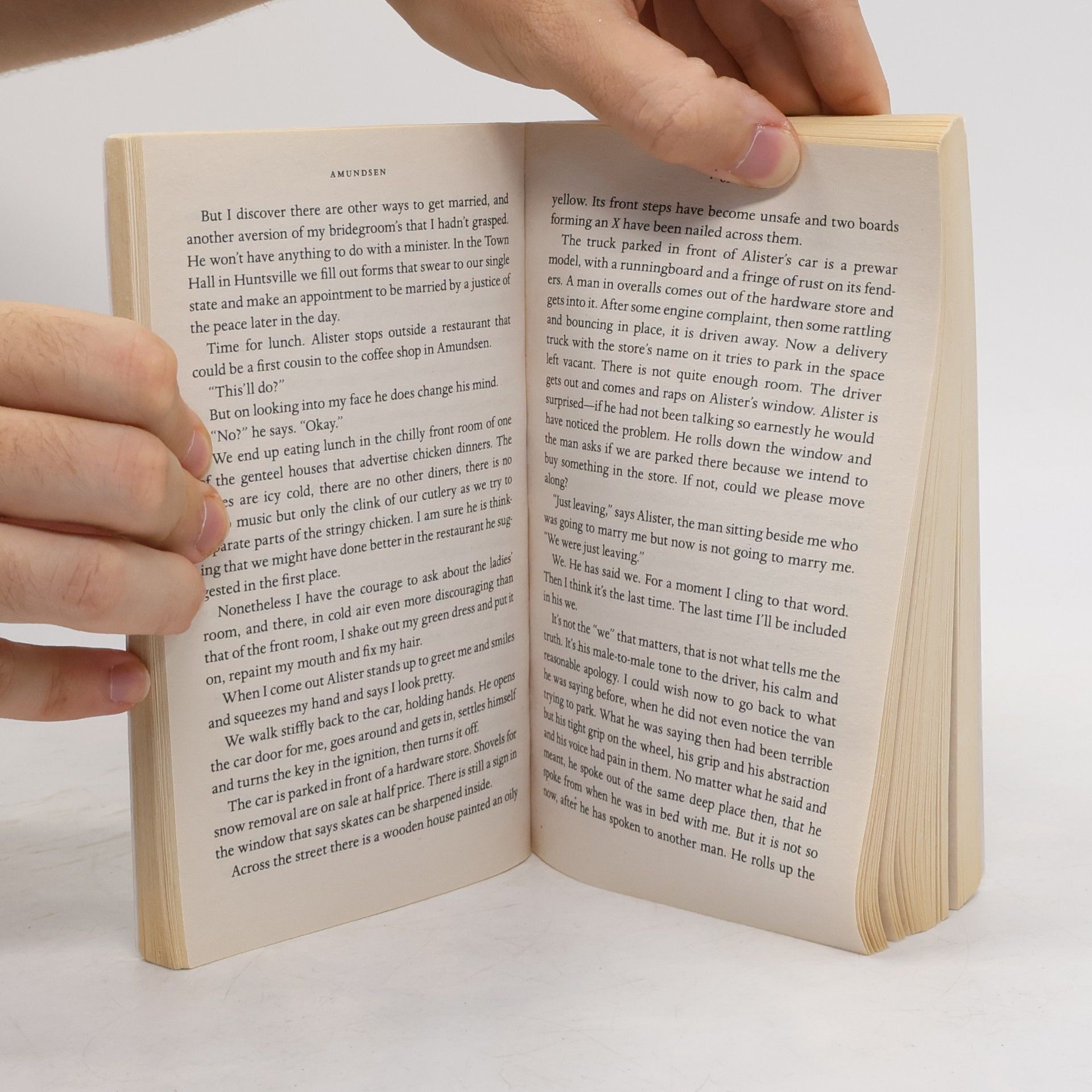Alice Munro Dear Life