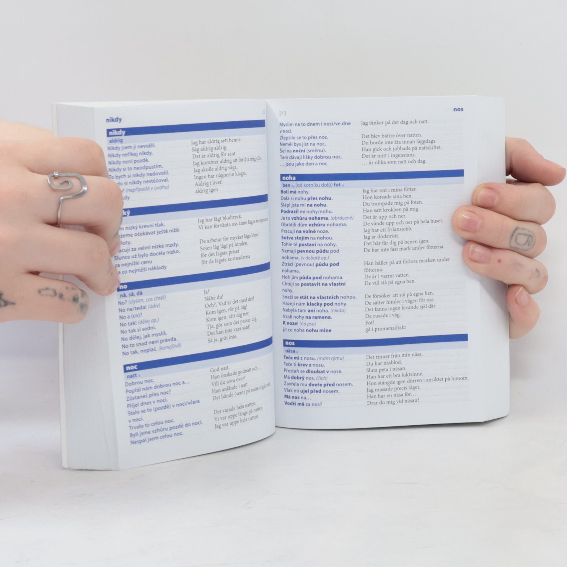 Autorenkollektiv Česko-švédský mluvník ... rozvažte si jazyk