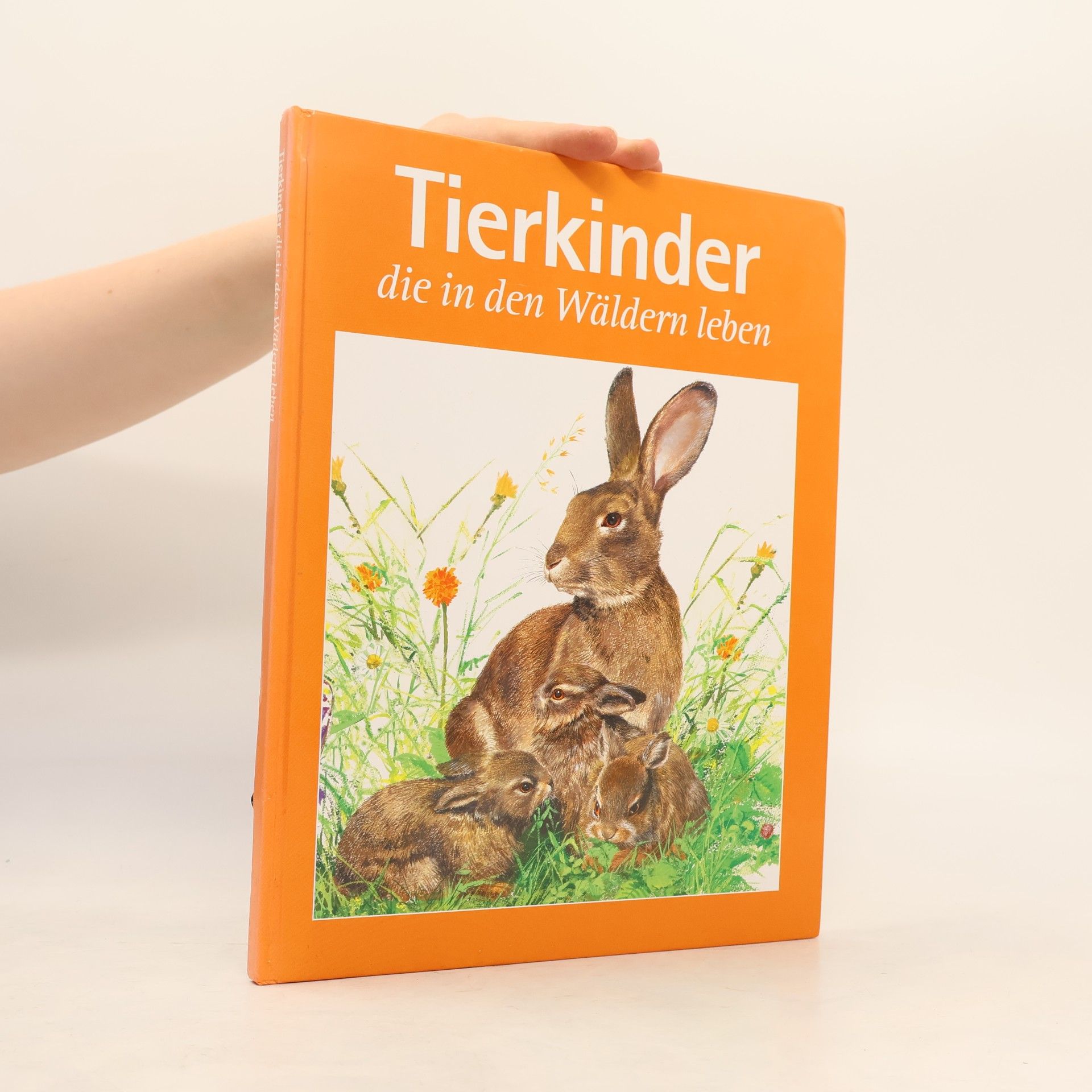 Autorenkollektiv Tierkinder, die in der Wäldern leben