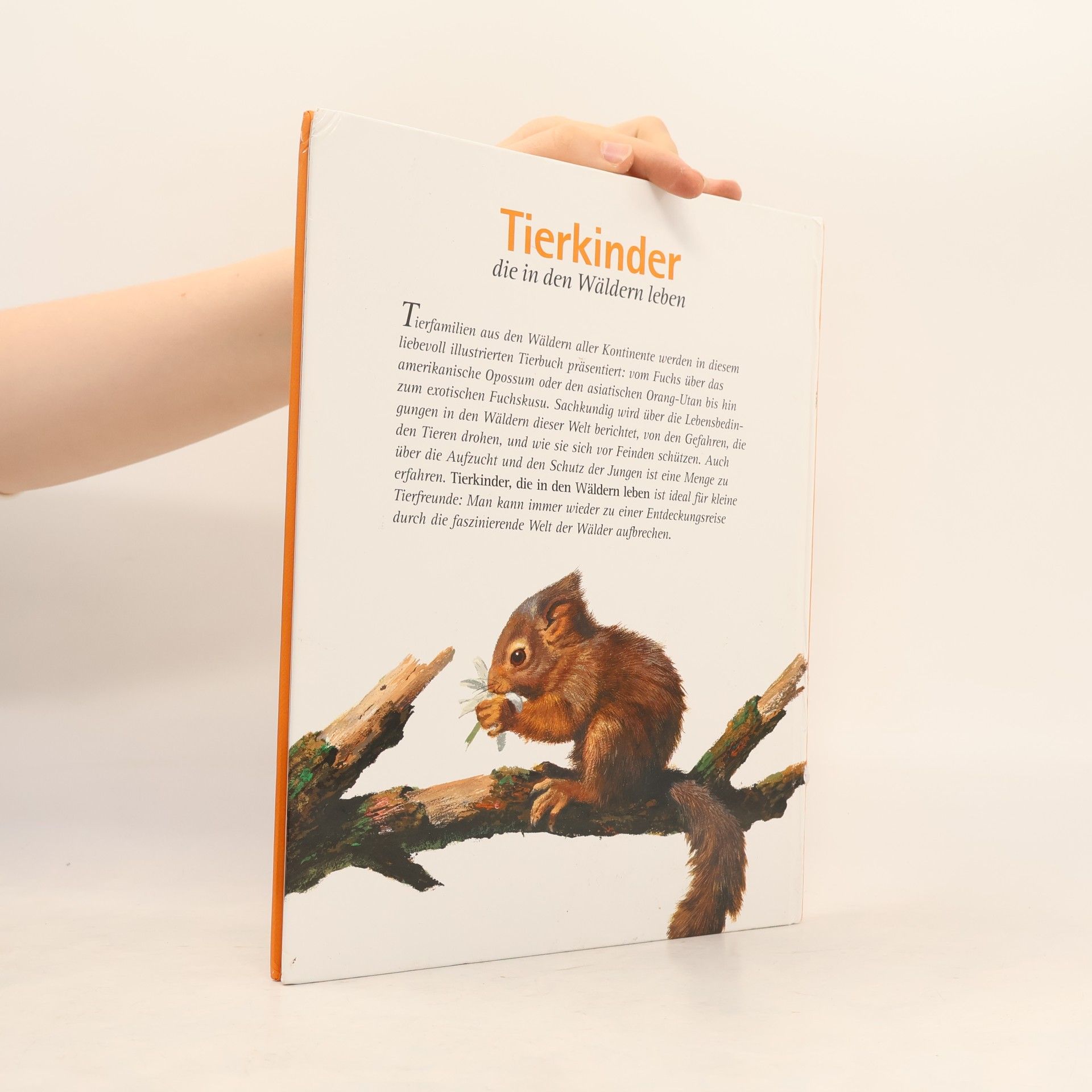 Autorenkollektiv Tierkinder, die in der Wäldern leben