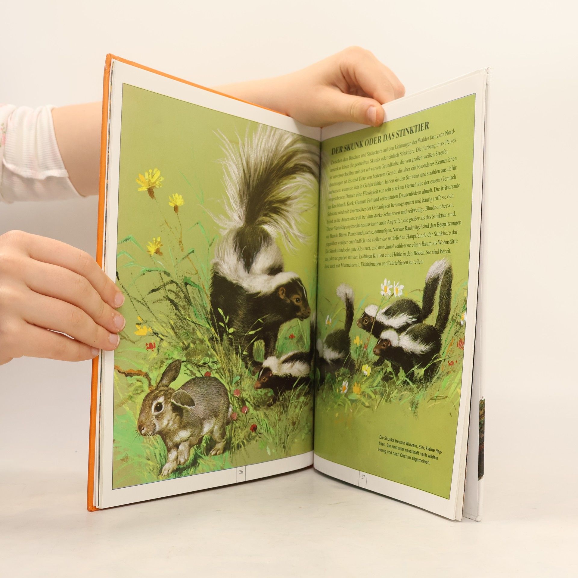 Autorenkollektiv Tierkinder, die in der Wäldern leben