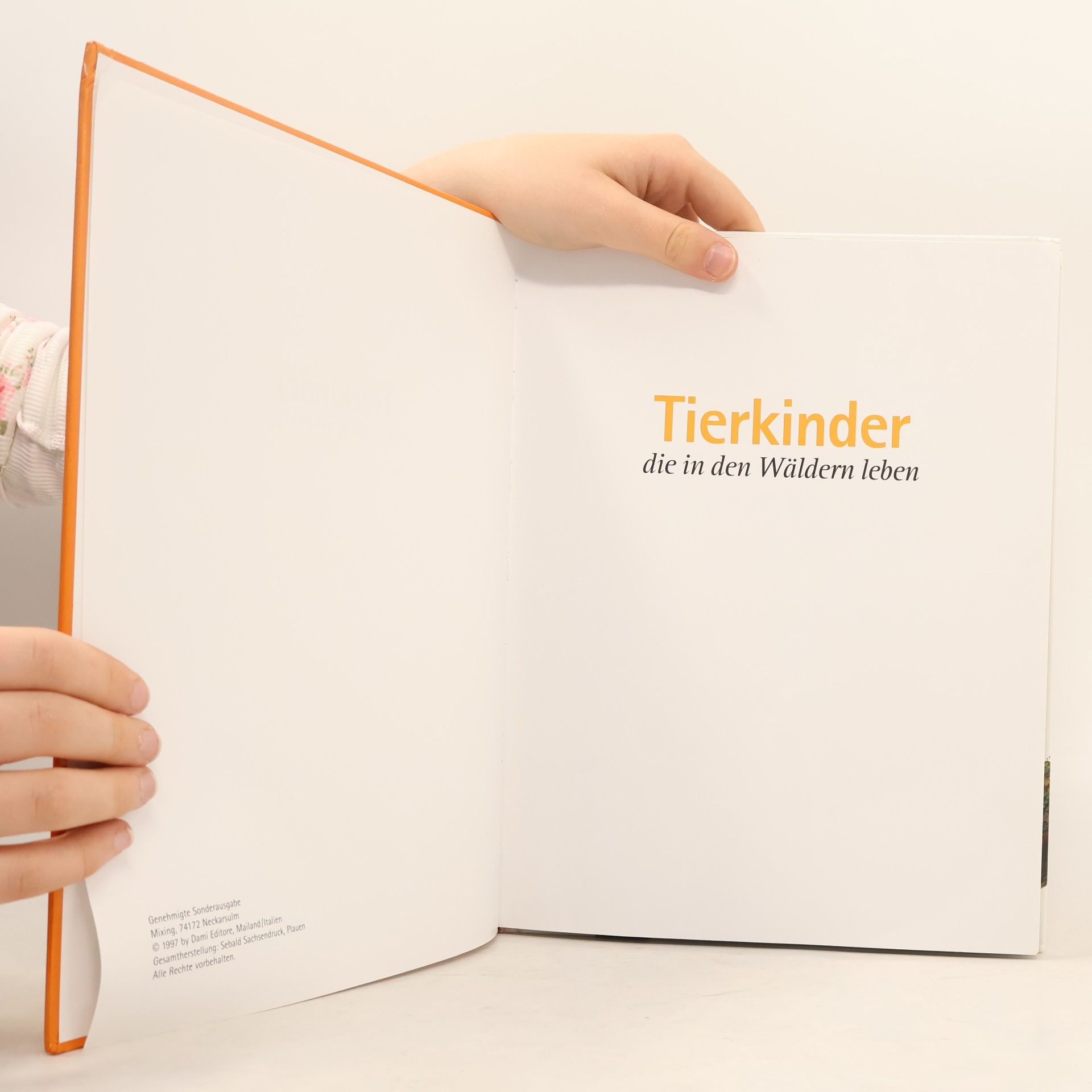 Autorenkollektiv Tierkinder, die in der Wäldern leben