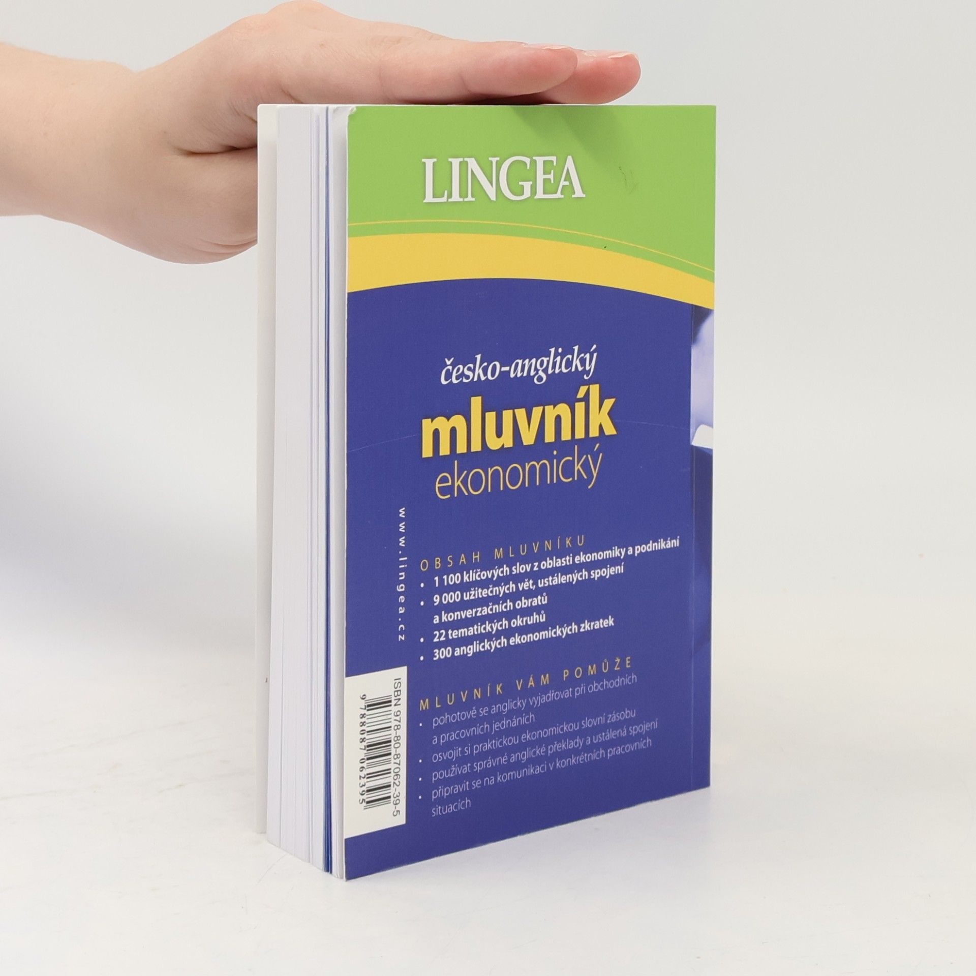 Kolektiv autorů Česko-anglický mluvník ekonomický