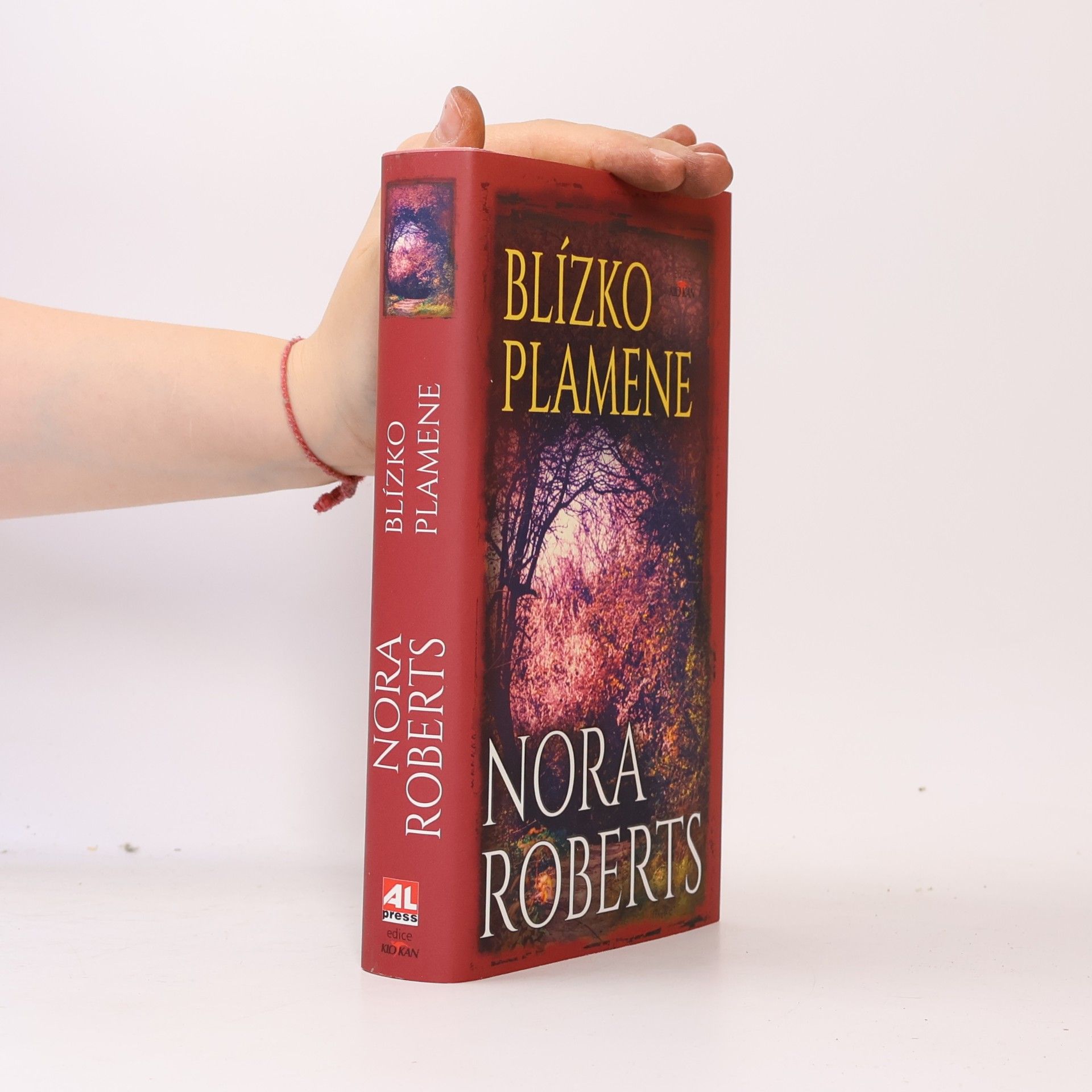 Nora Roberts Blízko plamene