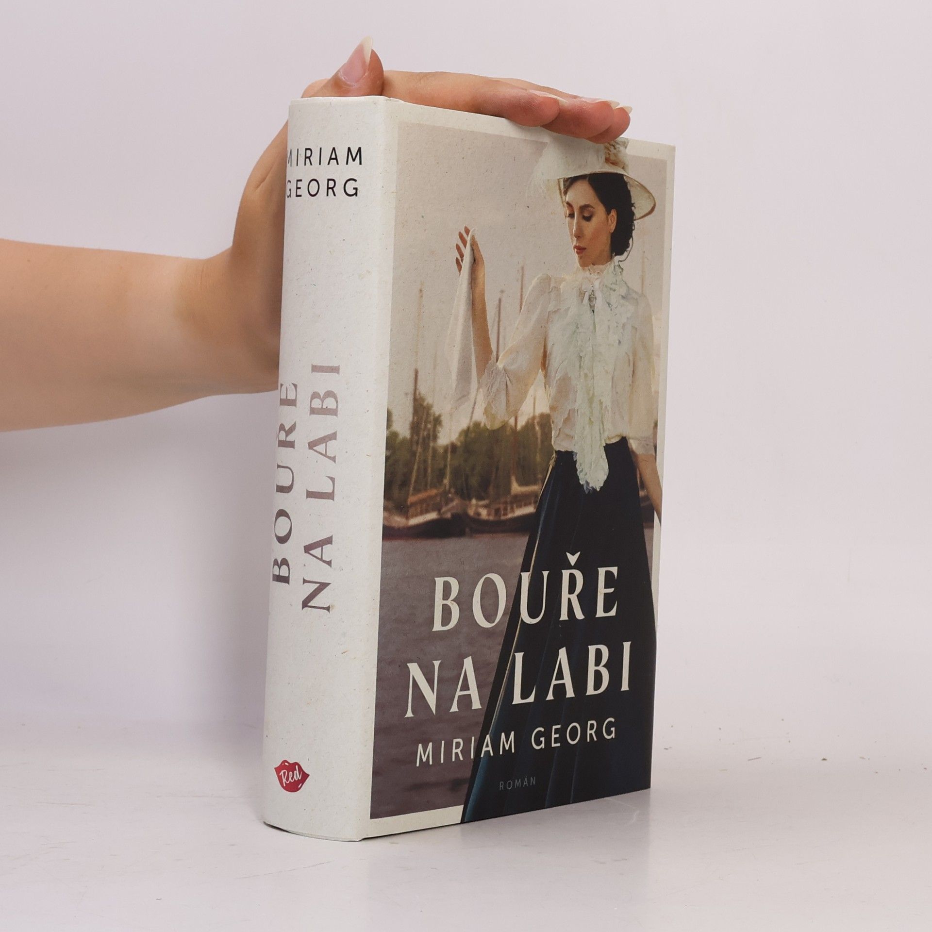 Miriam Georg Bouře na Labi: hanzovní rodinná sága