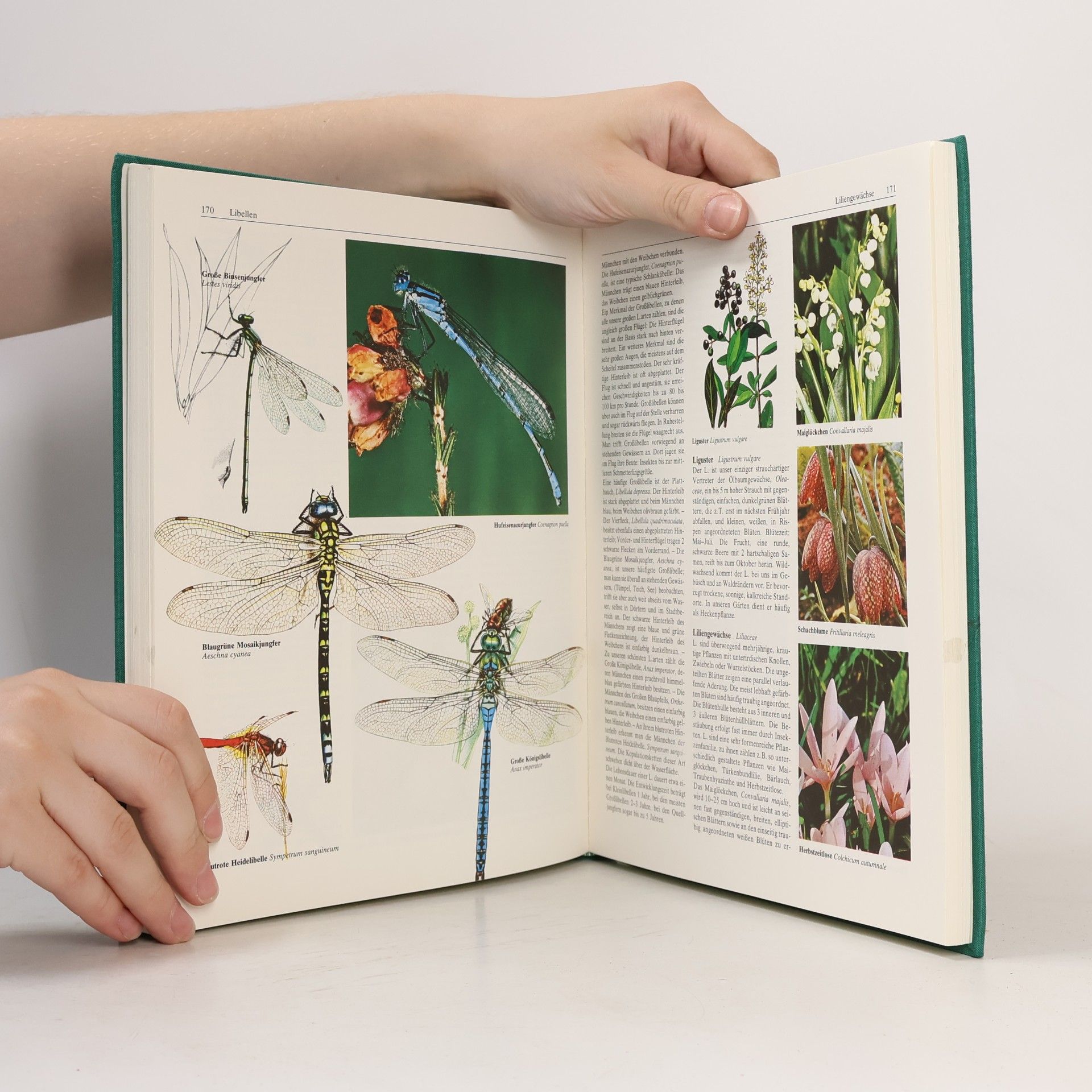 Autorenkollektiv Der große Natur und Landschaftsführer