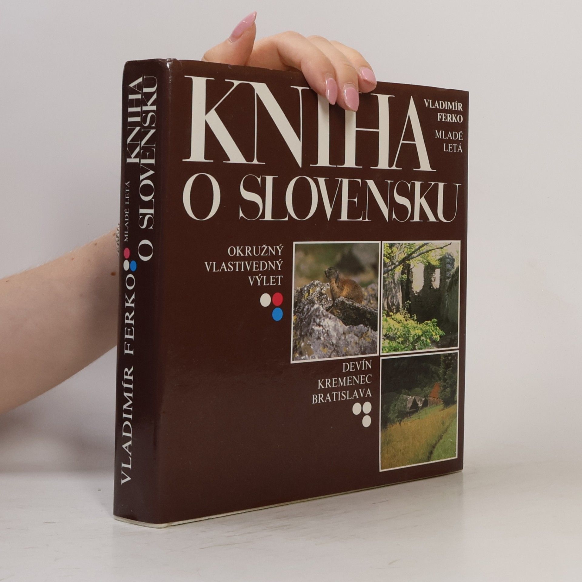 Vladimír Ferko Kniha o Slovensku