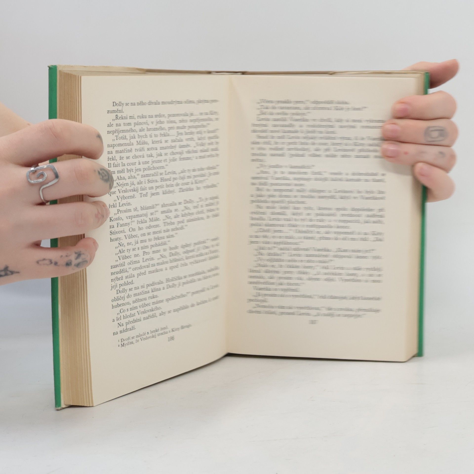 Lew Nikolajewitsch Tolstoi Anna Kareninová II