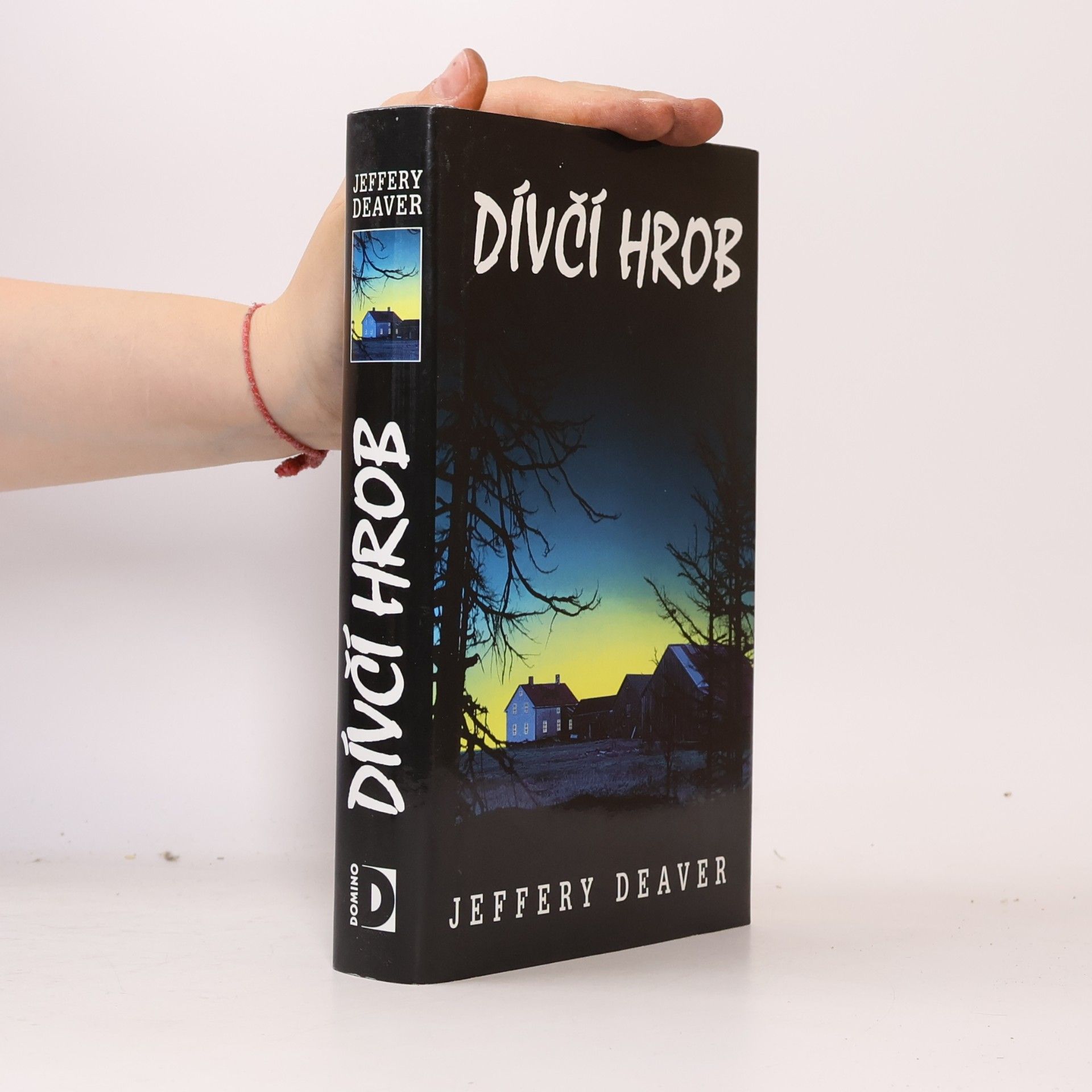 Jeffery Deaver Dívčí hrob