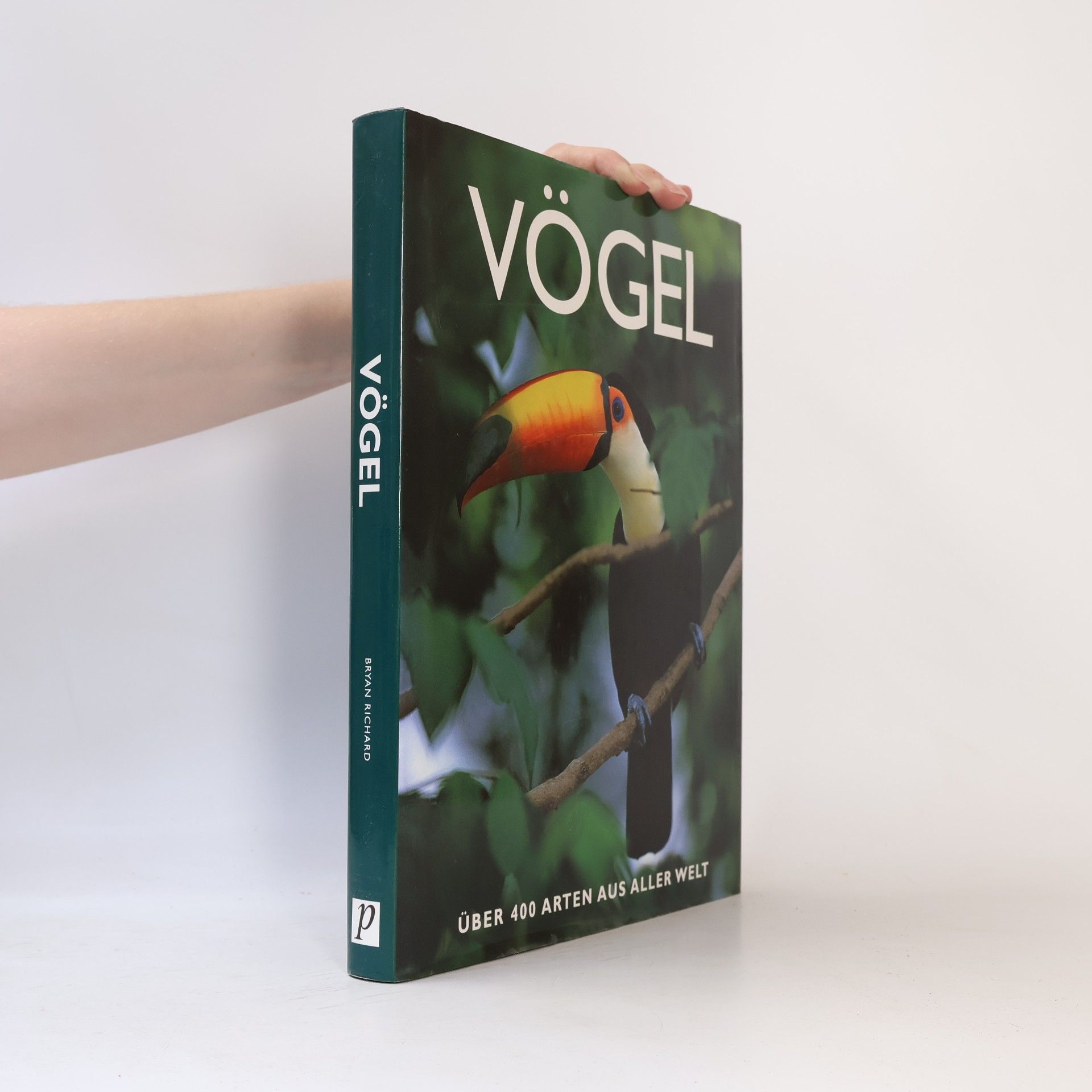 Eva Dempewolf Vögel