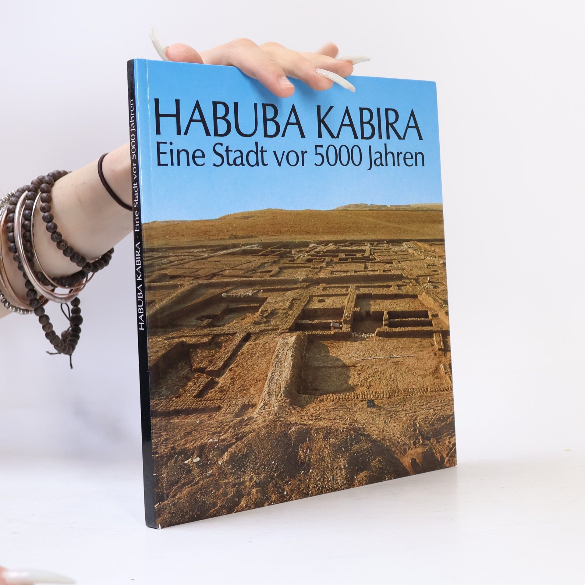 Eva Strommenger Habuba Kabira. Eine Stadt vor 5000 Jahren