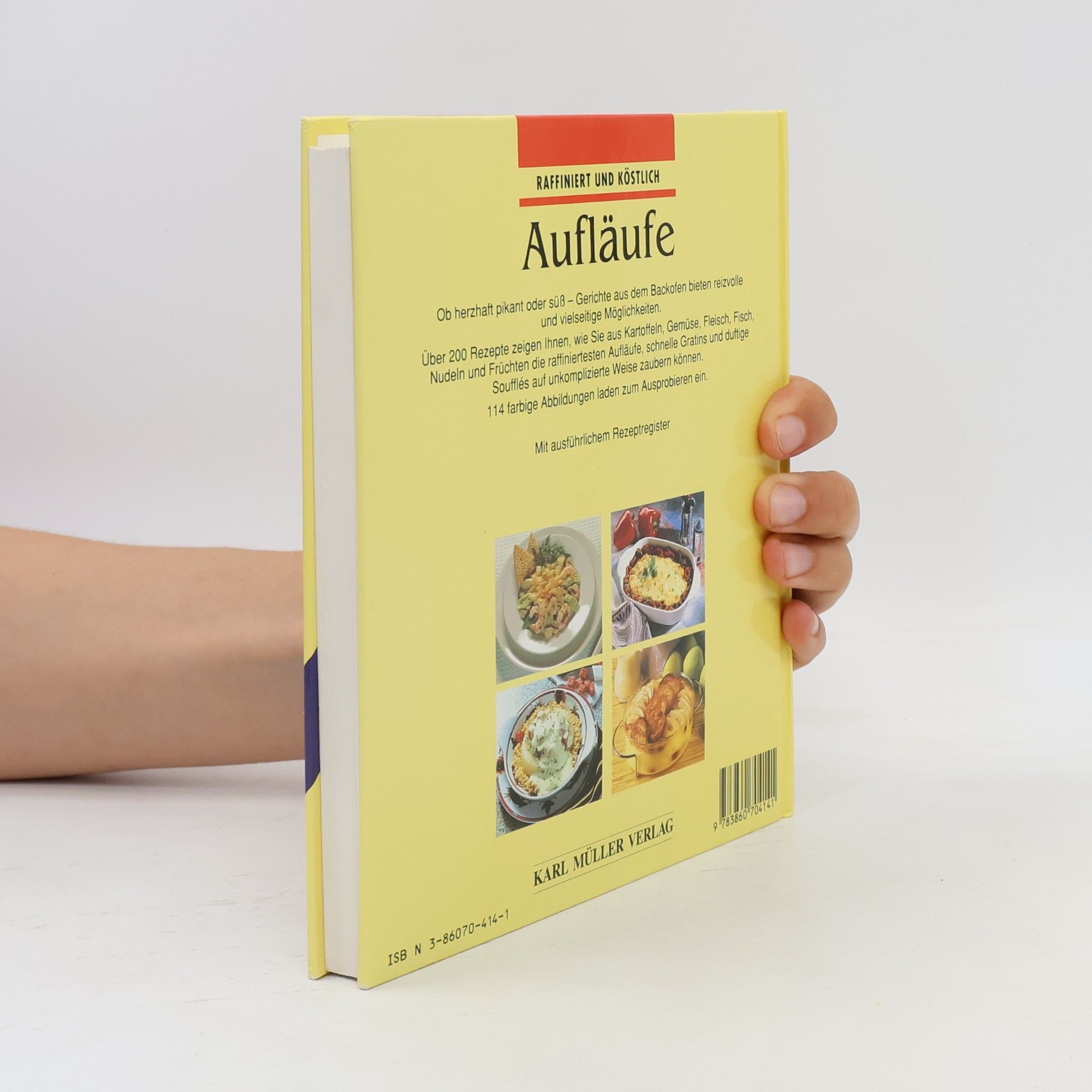 Collectif d'auteurs Raffiniert und Kostlich. Aufläufe