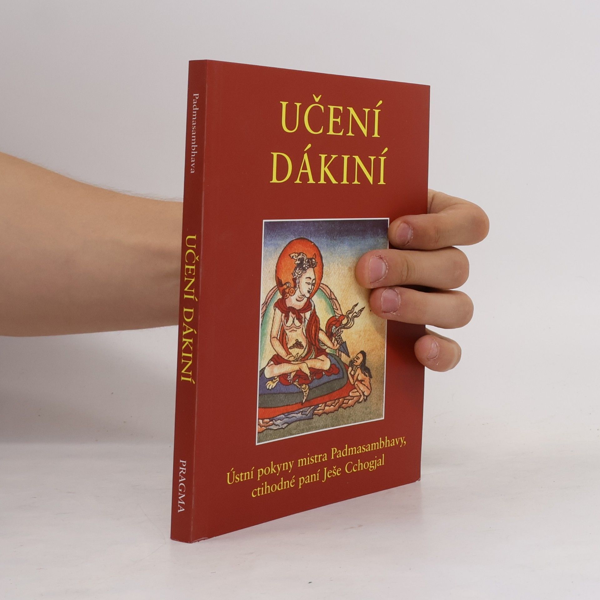Padma Sambhava Učení dákiní : ústní pokyny mistra Padmasambhavy ctihodné paní Ješe Cchogjal