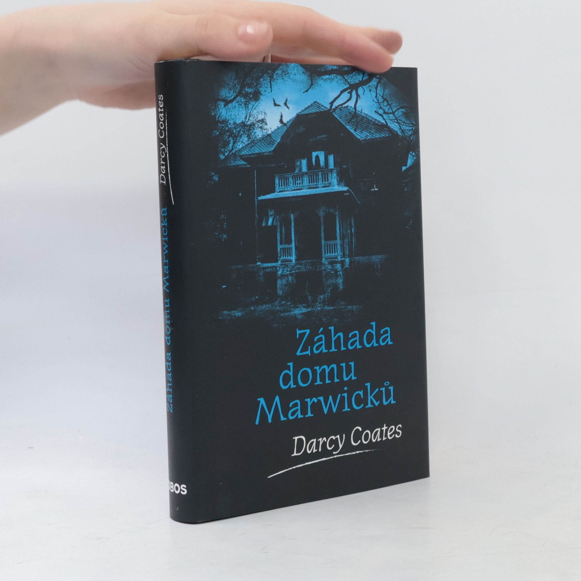 Záhada domu Marwicků