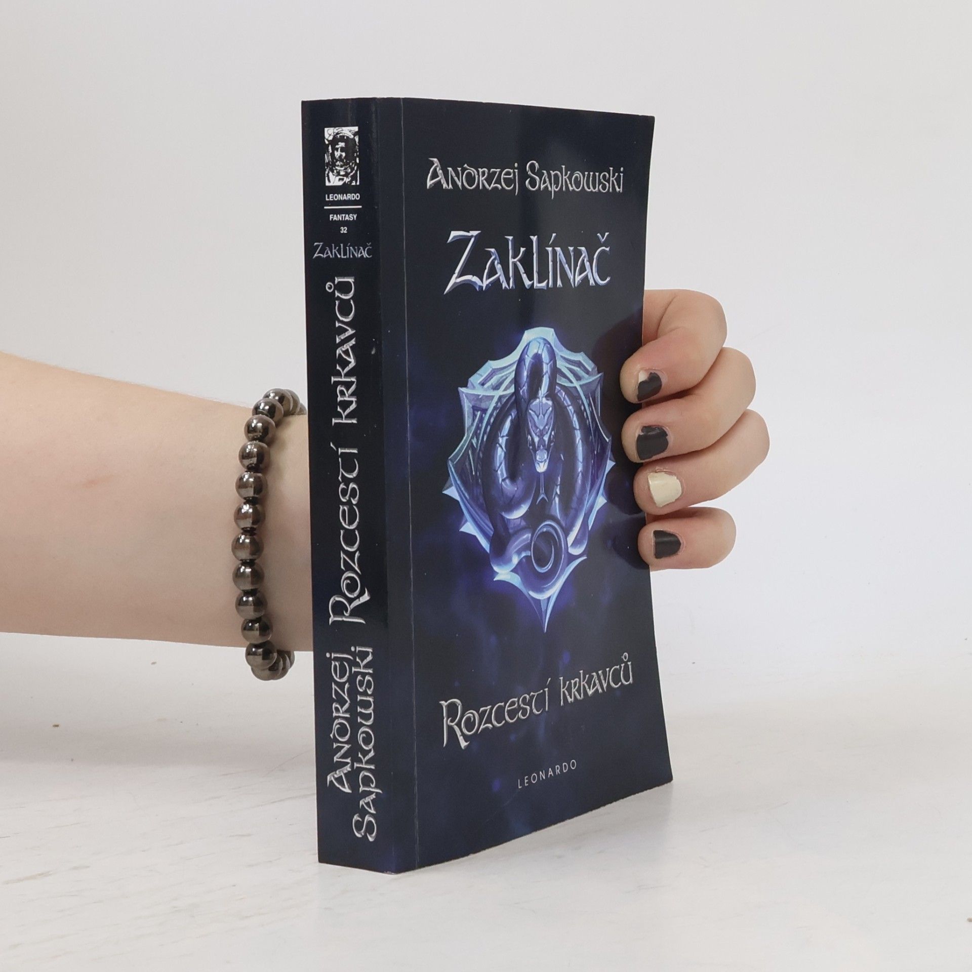 Zaklínač IX. Rozcestí krkavců