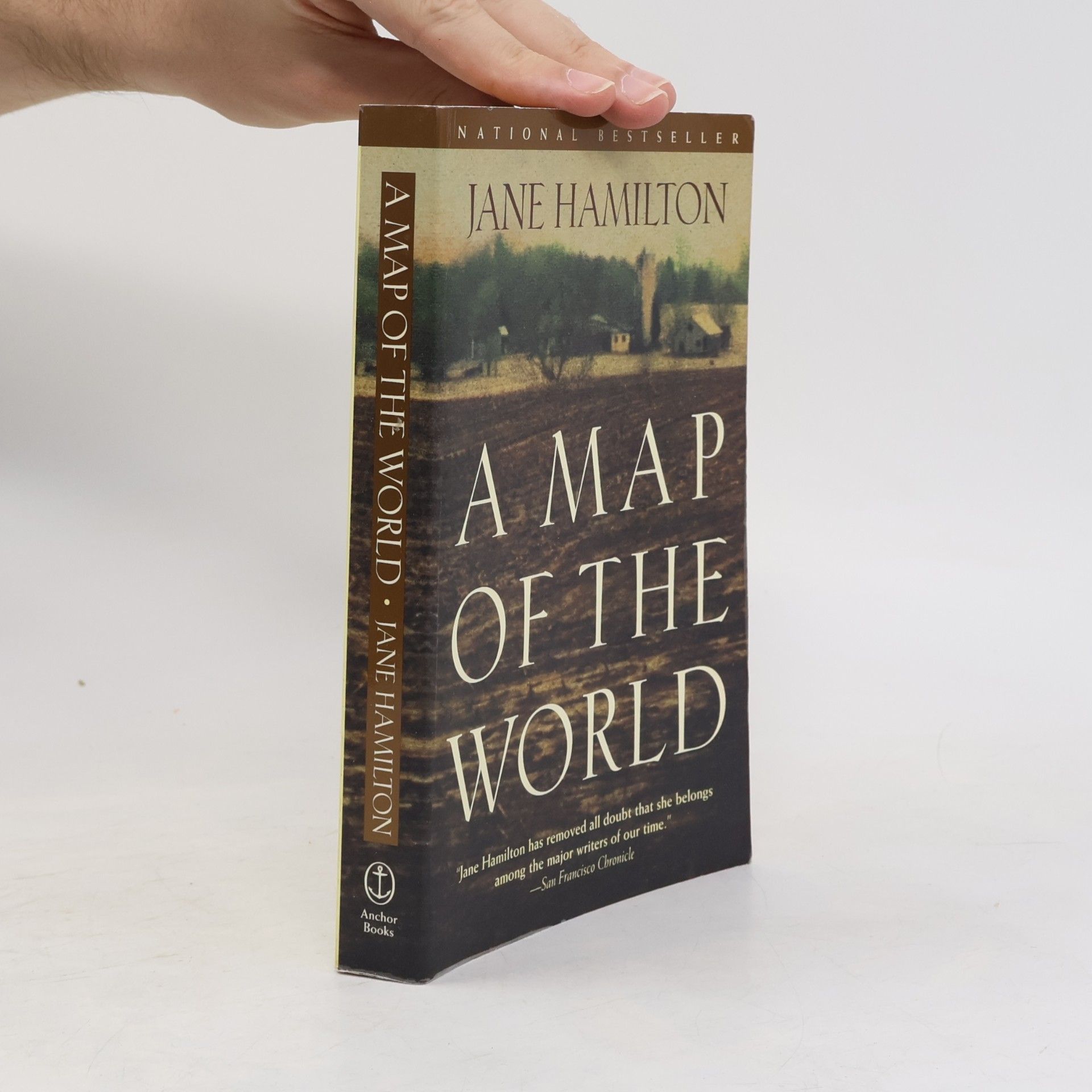 Jane Hamilton A map of the world