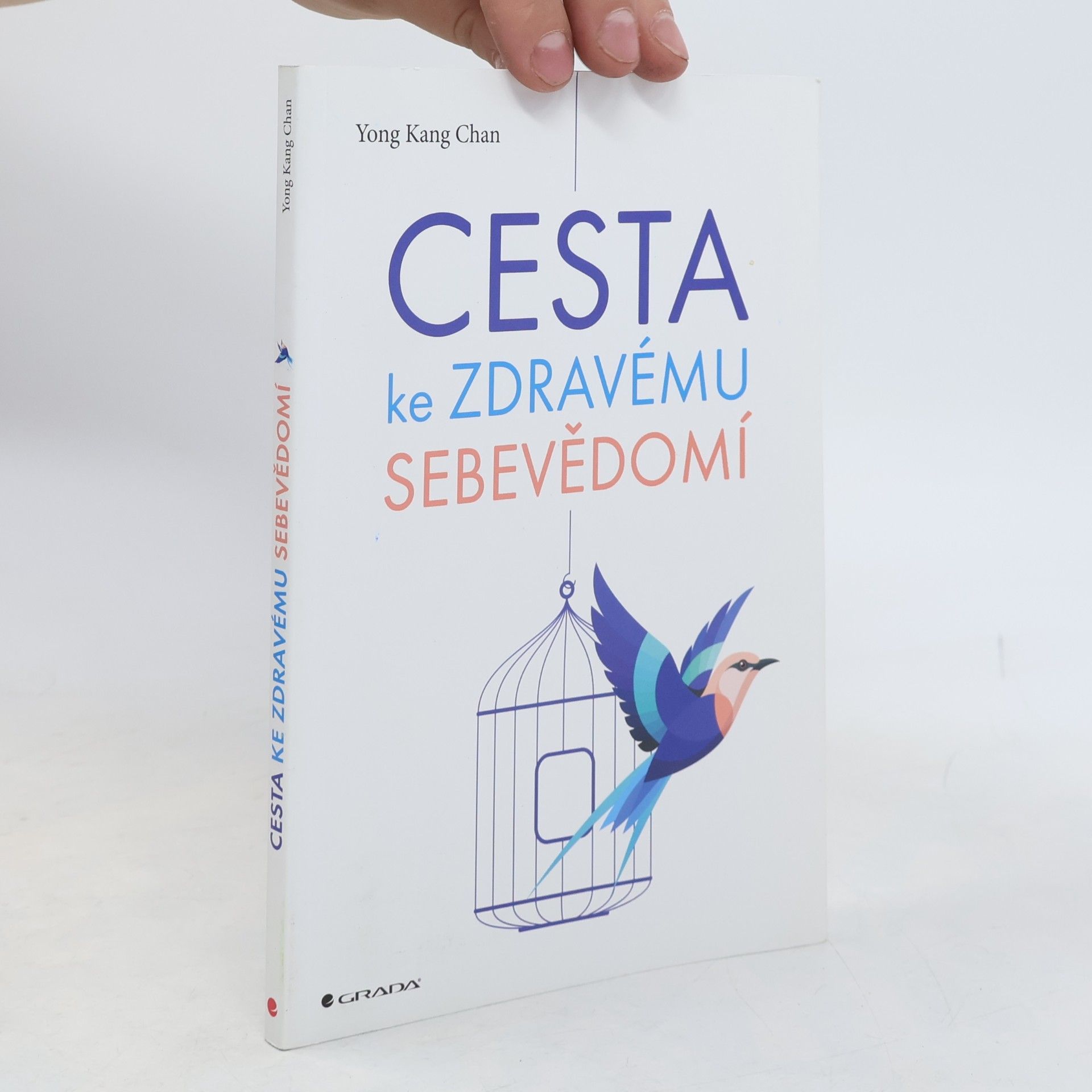 Yong Kang Chan Cesta ke zdravému sebevědomí