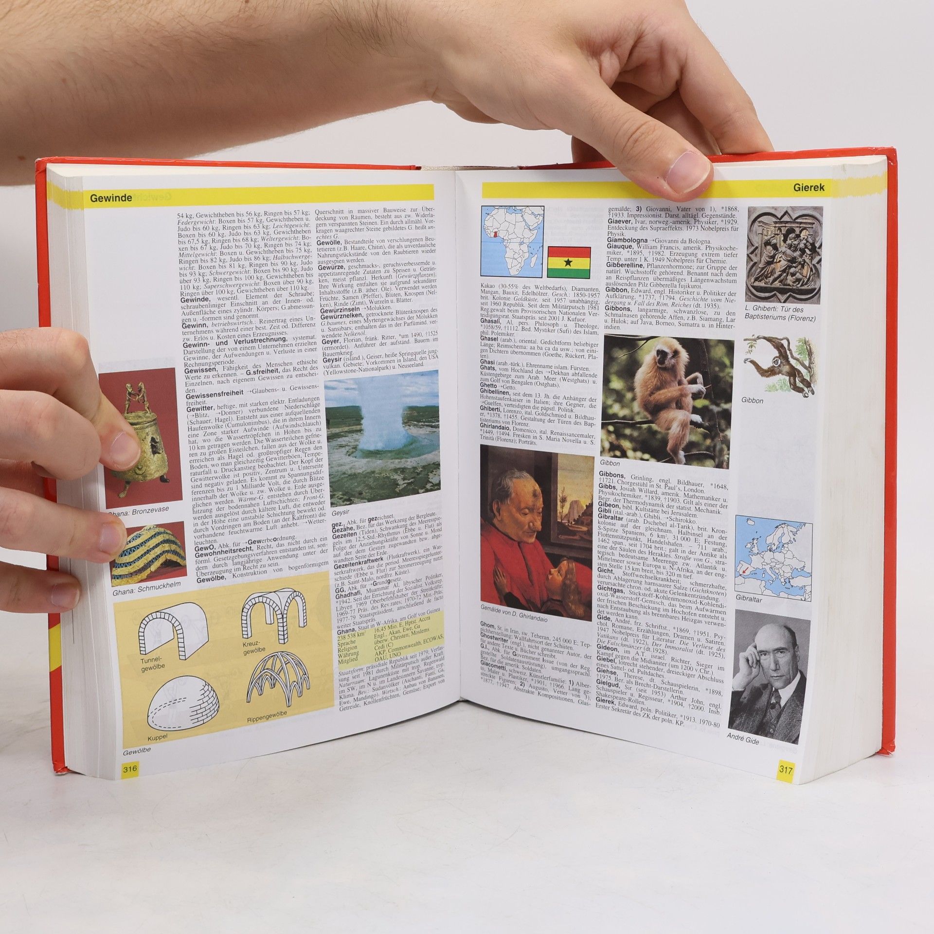 Autorenkollektiv Neues Grosses Lexikon in Farbe