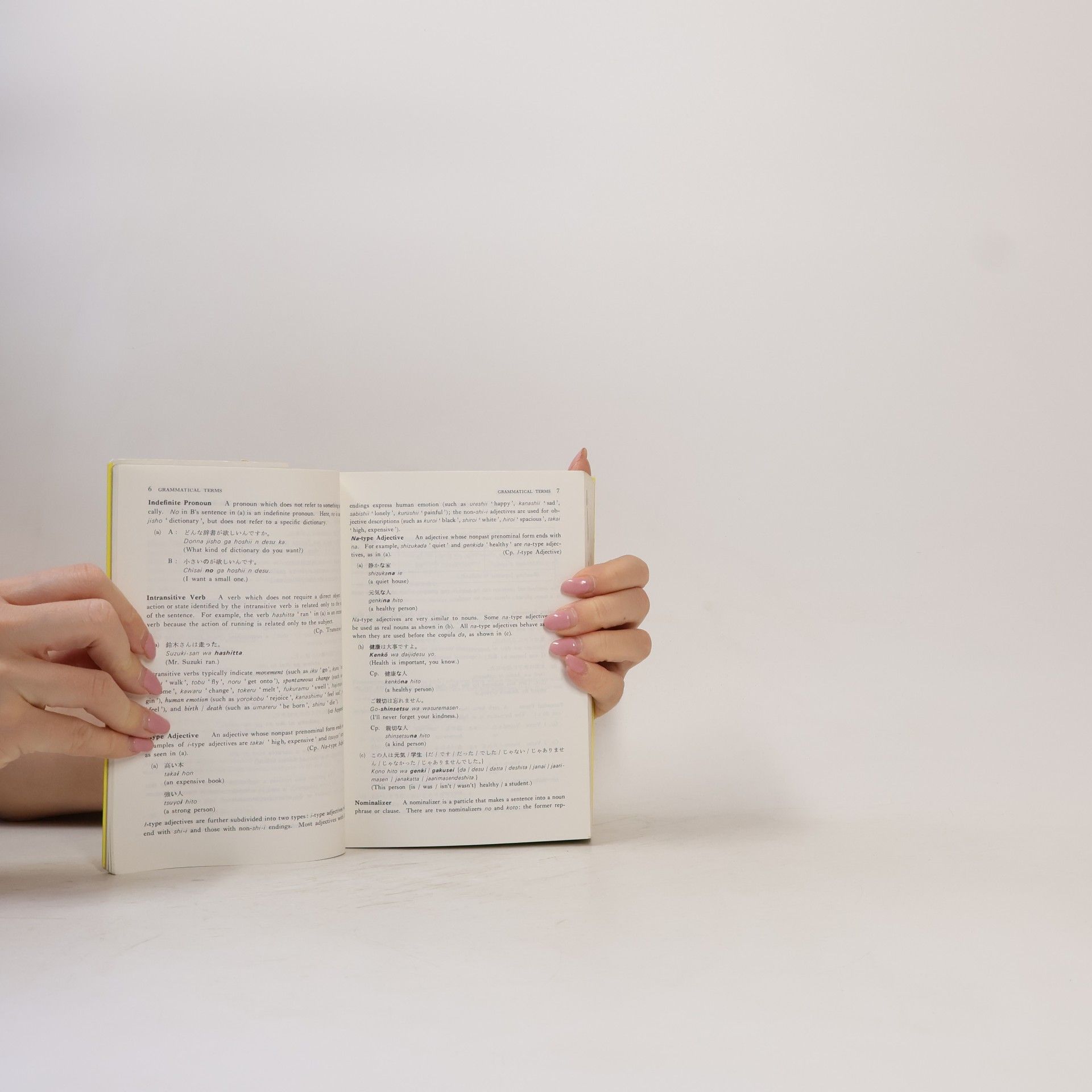 Tsutsui, Michio A Dictionary of Basic Japanese Grammar