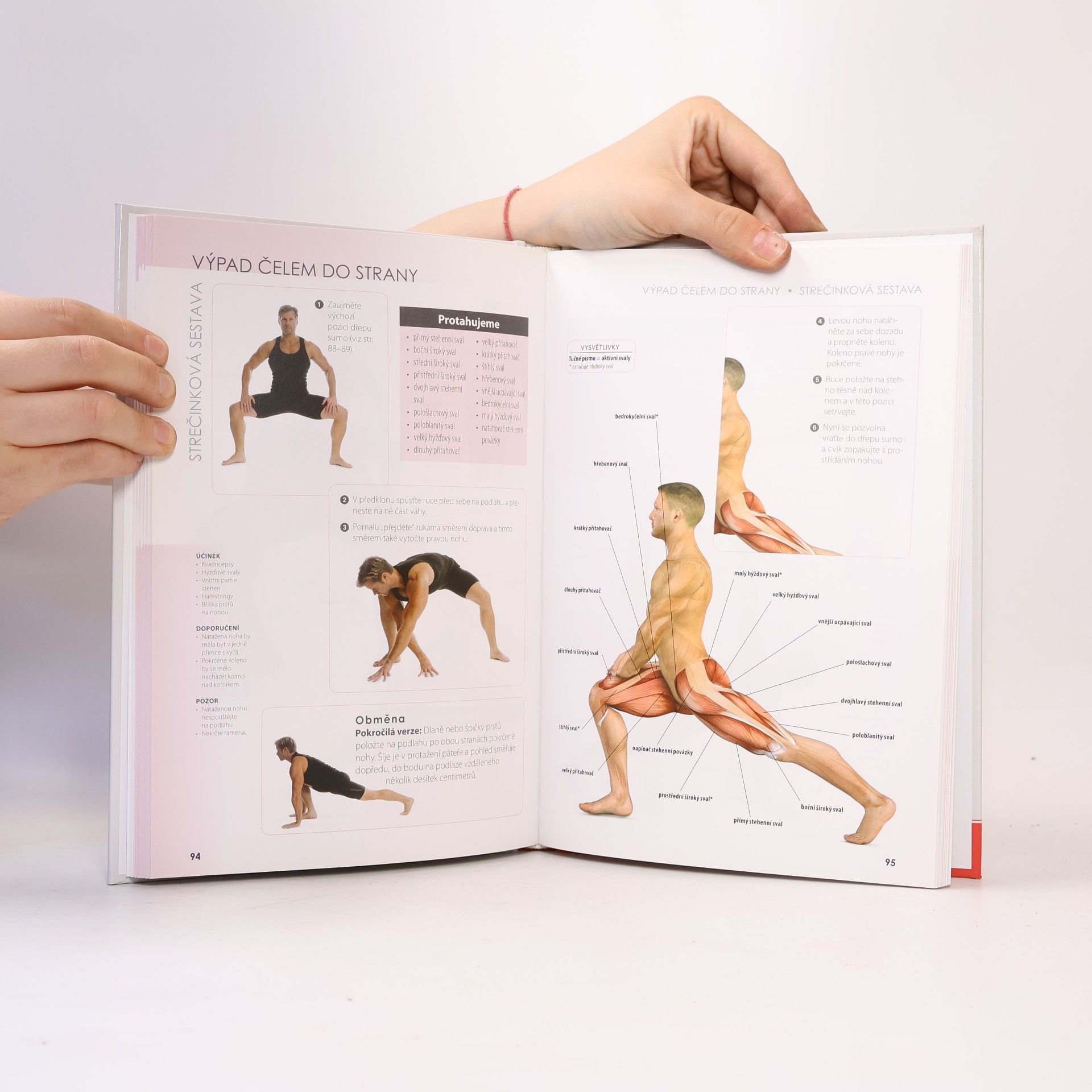 Craig Ramsay Strečink - anatomie