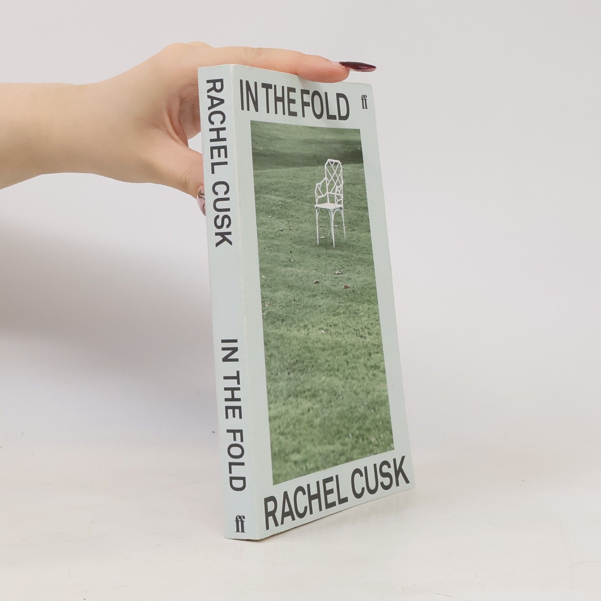 Rachel Cusk In the Fold