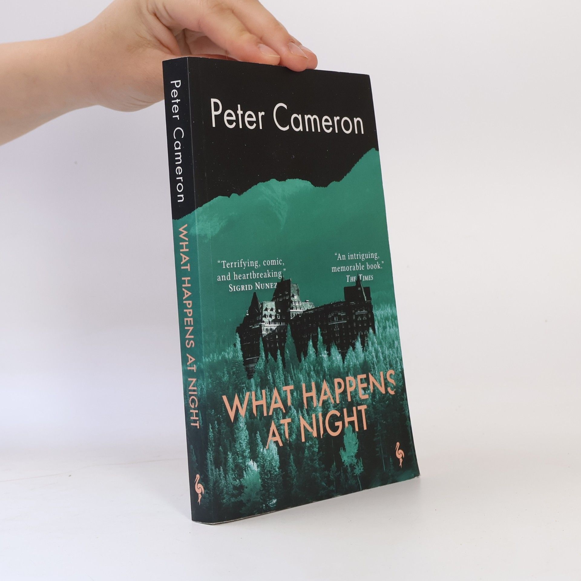 Peter Cameron What Happens at Night