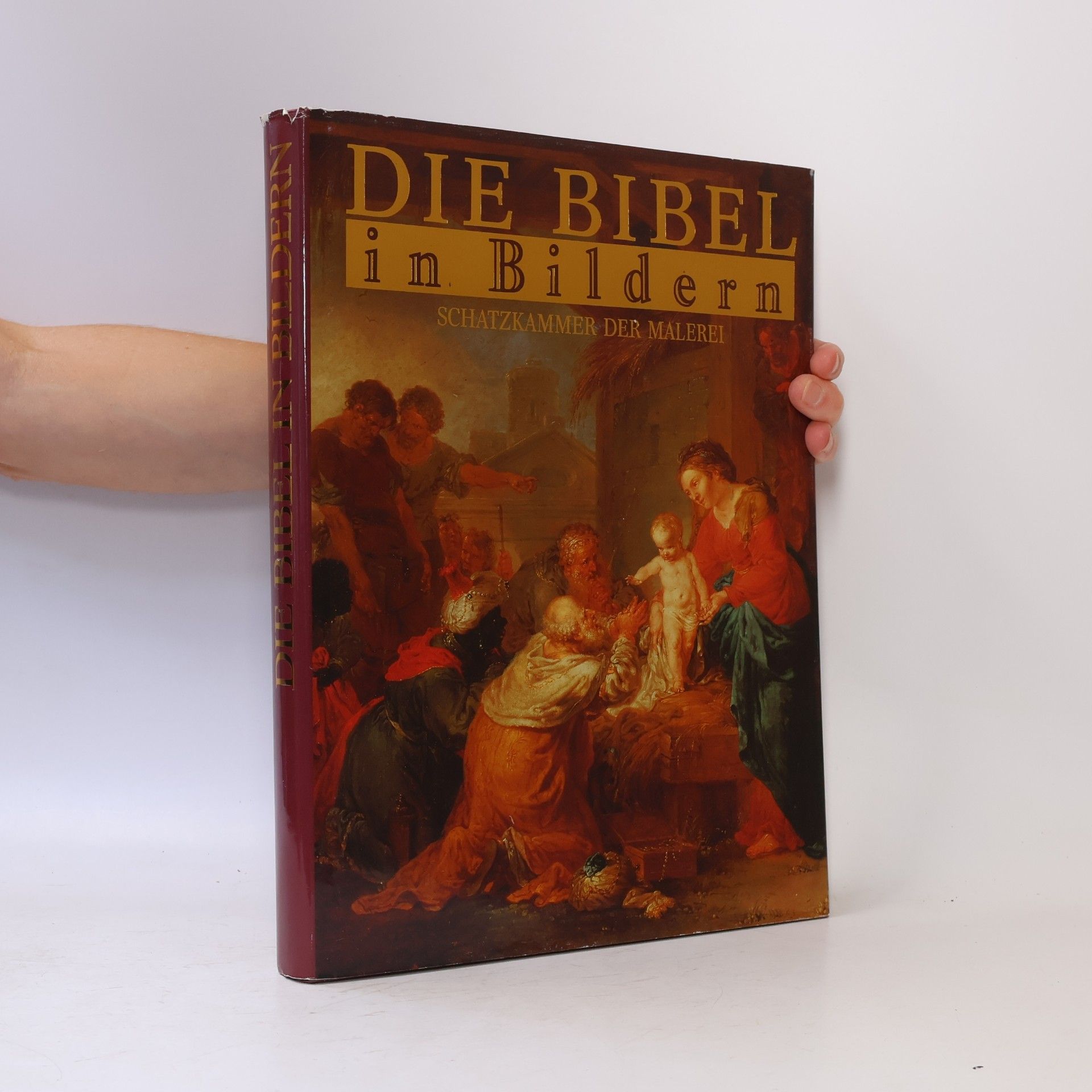 Collectif d'auteurs Die Bibel in Bildern. Schatzkammer der Malerei