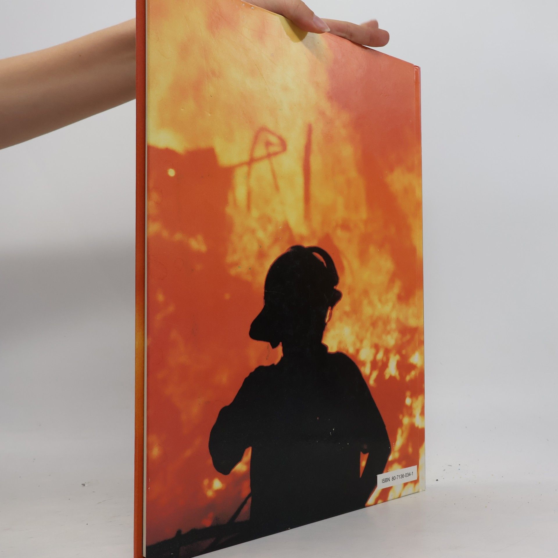 Margot Keam Cleary Velké katastrofy 20. století