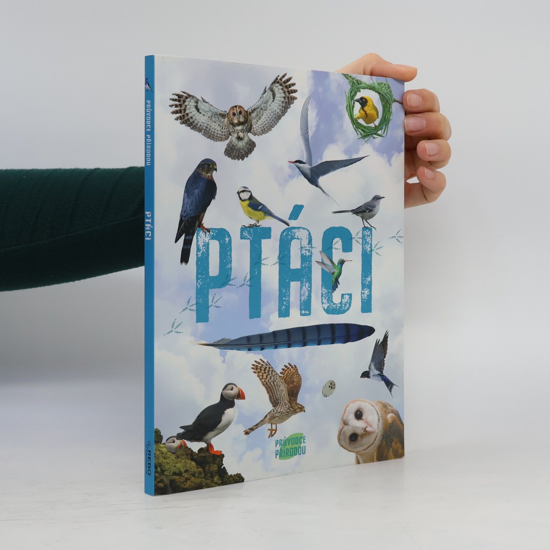 Claire Sipi Ptáci, průvodce přírodou