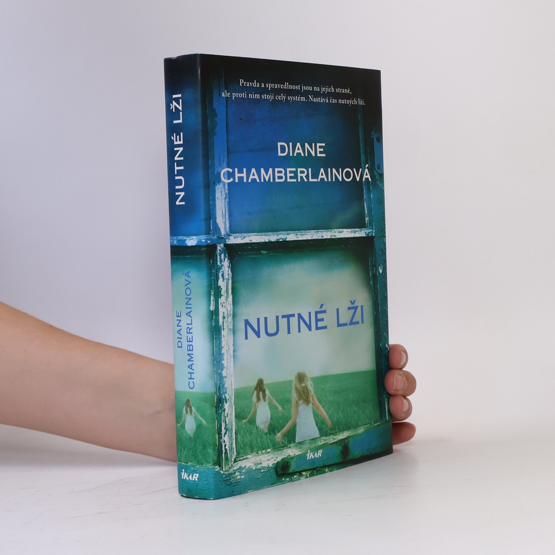 Diane Chamberlain Nutné lži