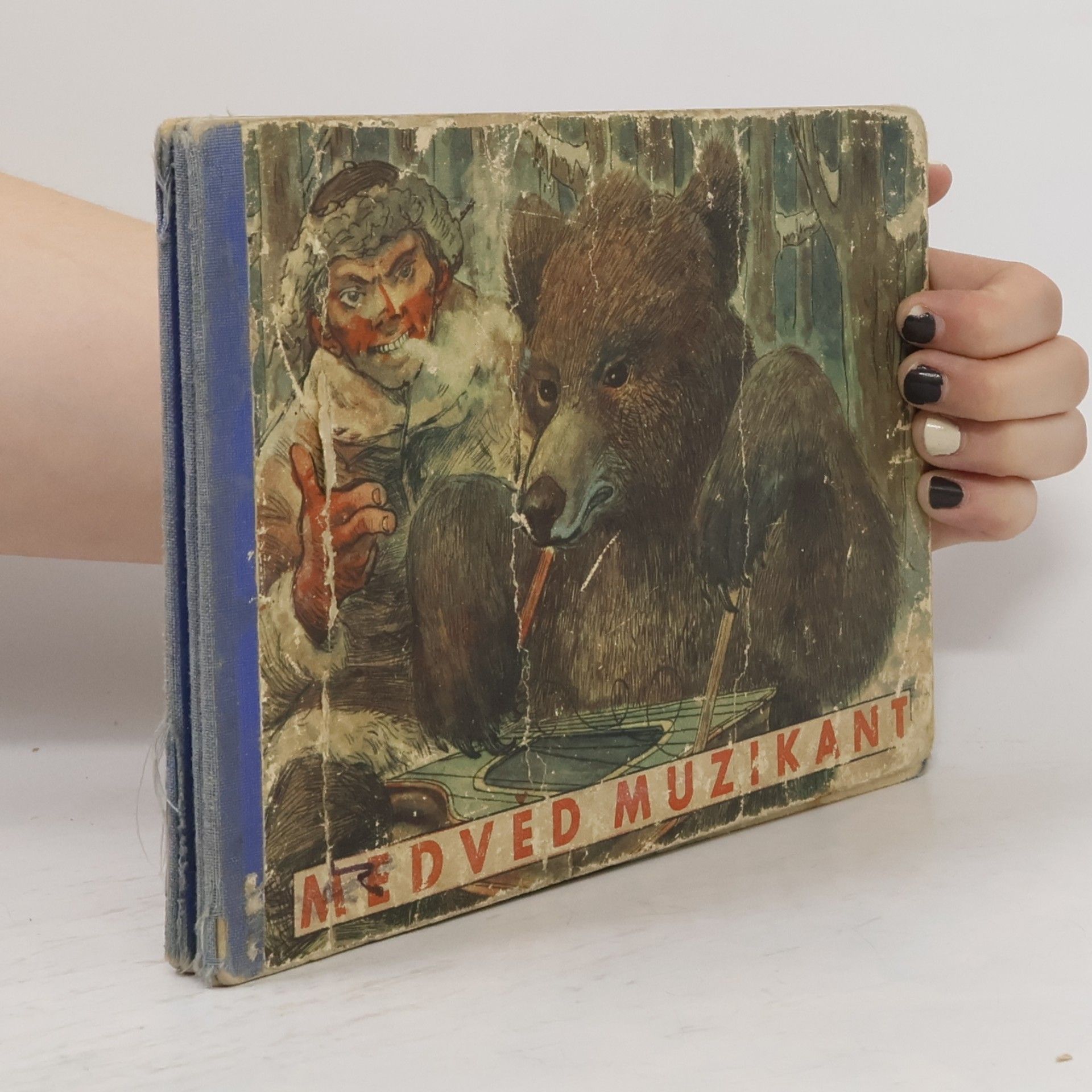 Kolektiv autorů Medvěd muzikant
