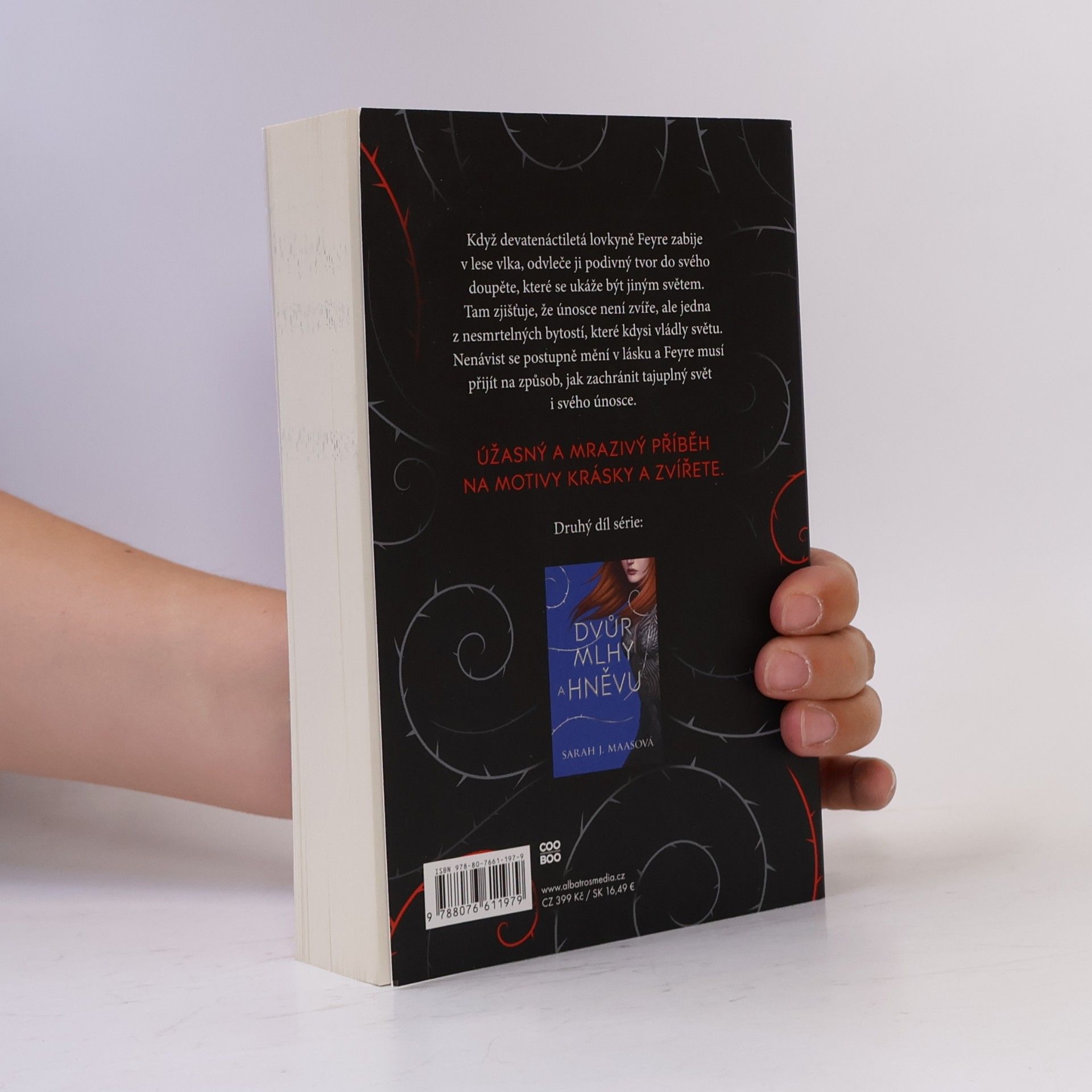 Sarah J. Maas Dvůr trnů a růží