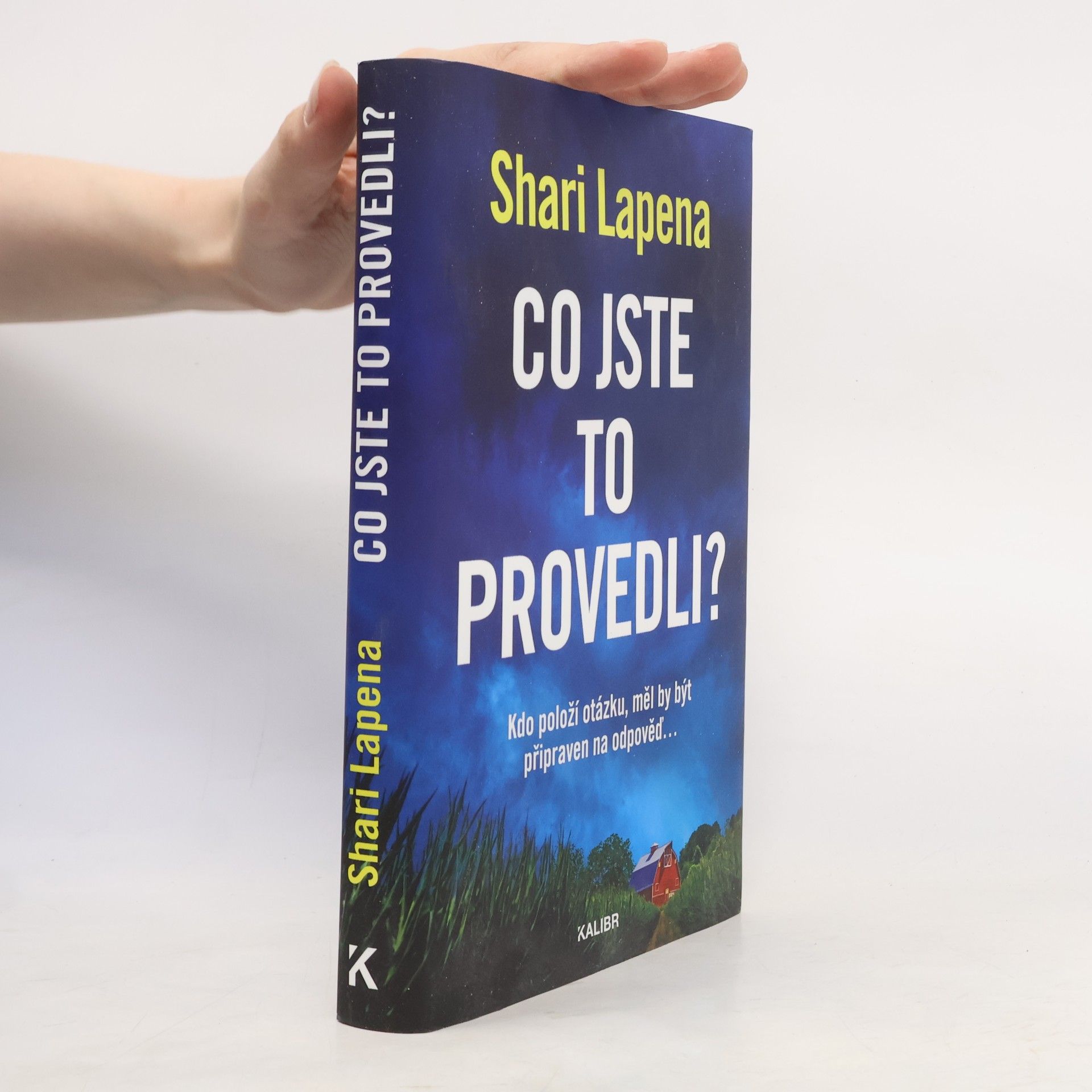 Shari Lapena Co jste to provedli?