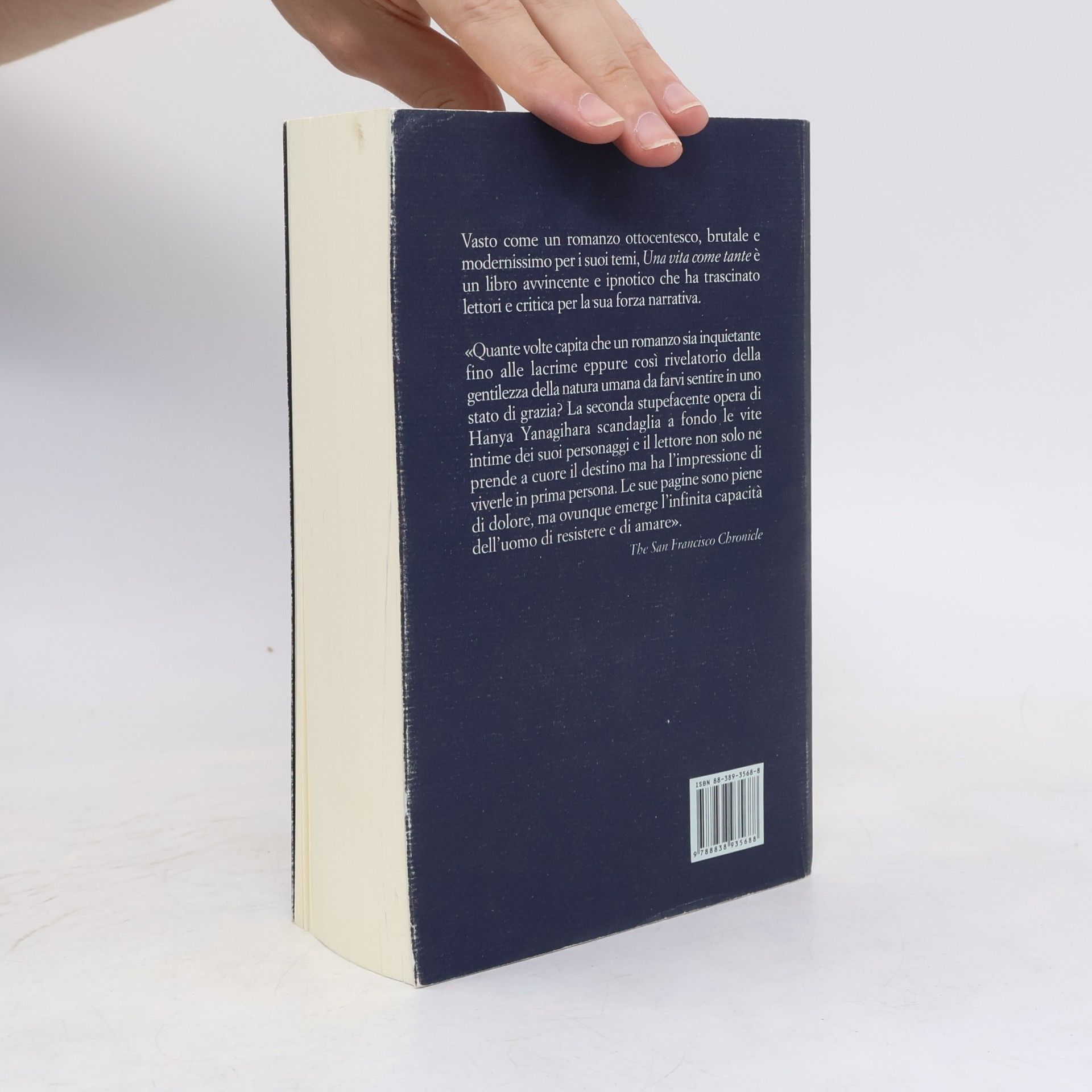 Hanya Yanagihara Una vita come tante