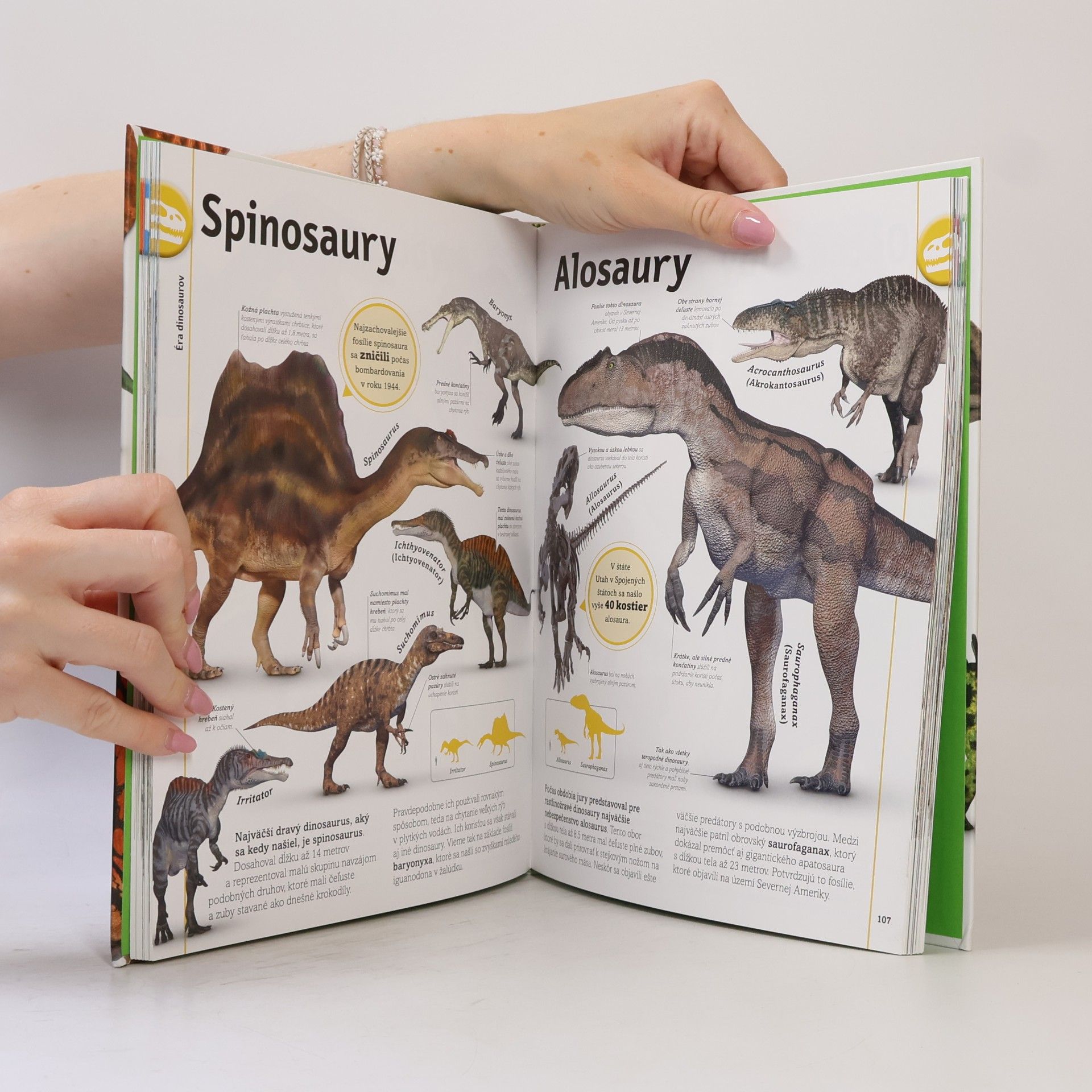 John Woodward Dinosaury a iné praveké živočíchy