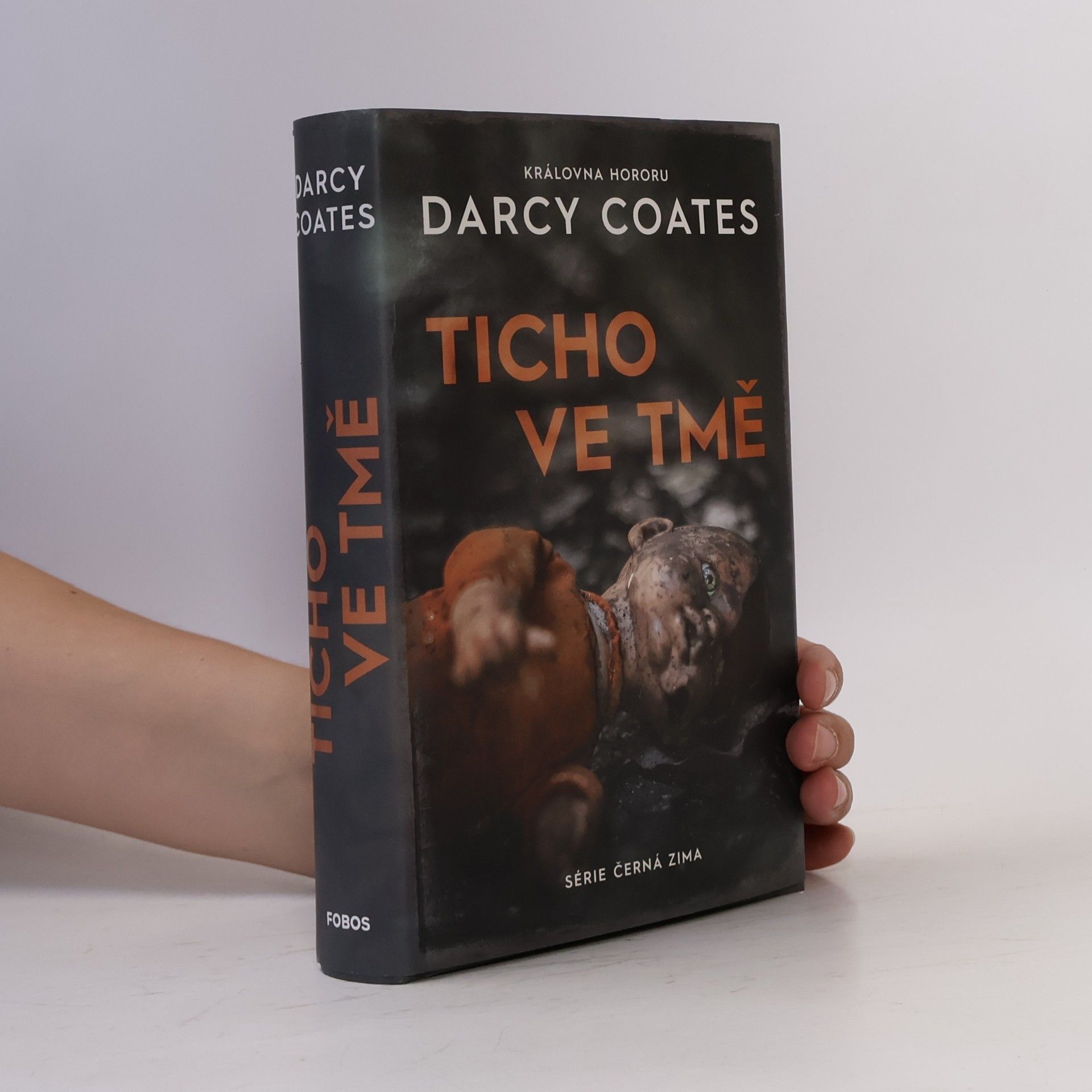Darcy Coates Ticho ve tmě